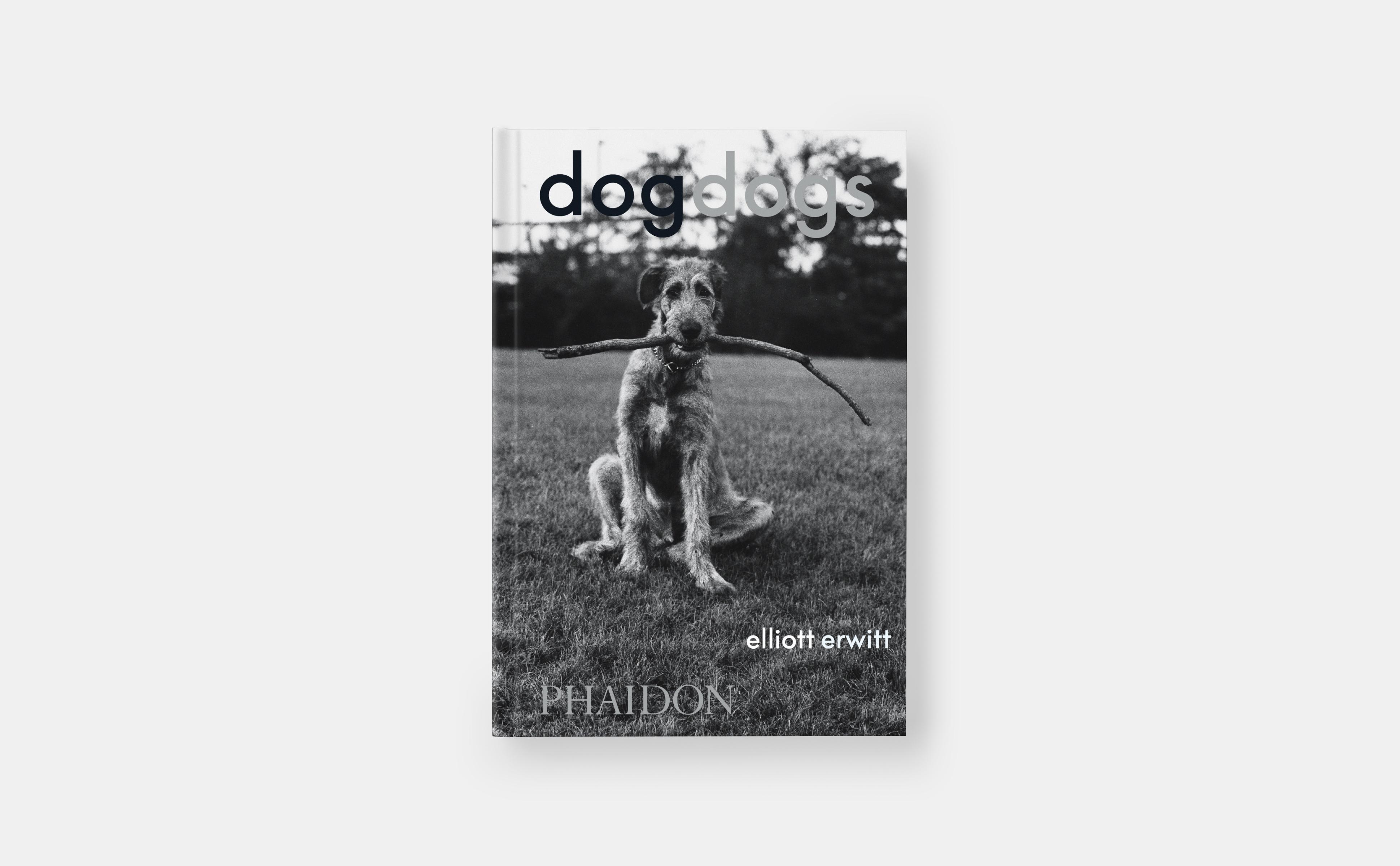 Beispielinhalt (Bild) DogDogs