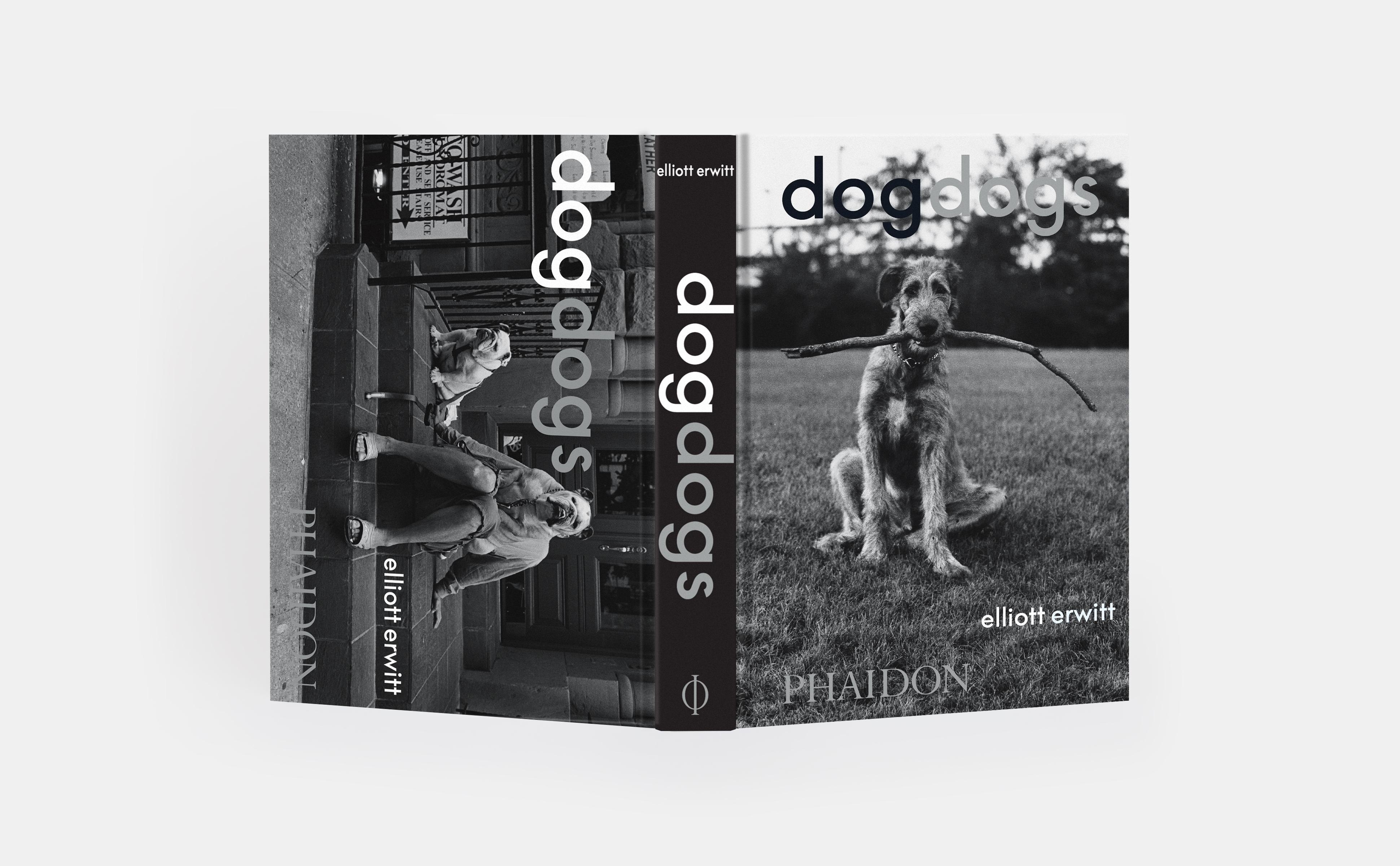 Beispielinhalt (Bild) DogDogs
