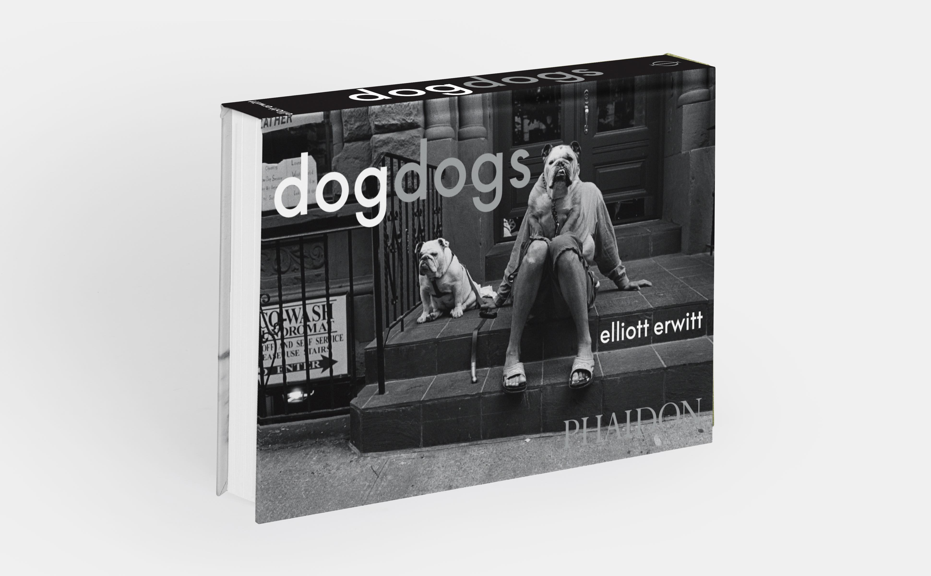 Beispielinhalt (Bild) DogDogs