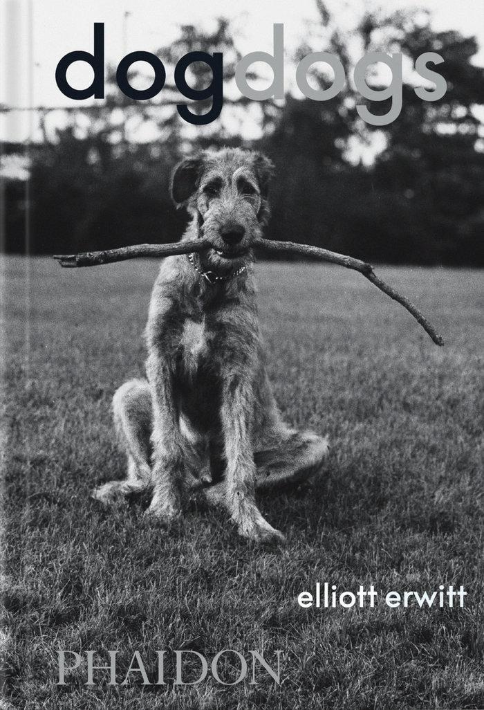 Vorderes Coverbild DogDogs
