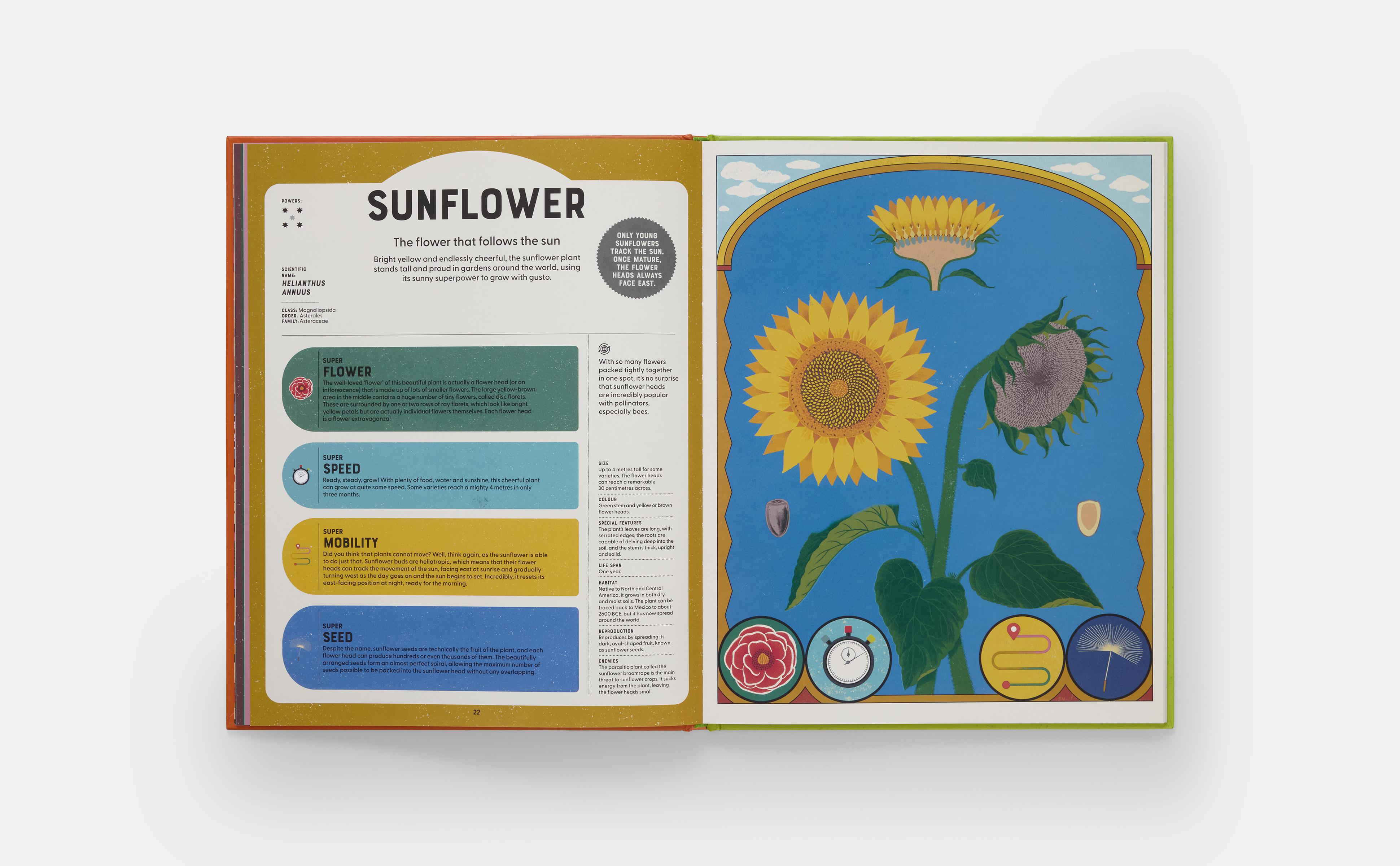 Beispielinhalt (Bild) Superpowered Plants