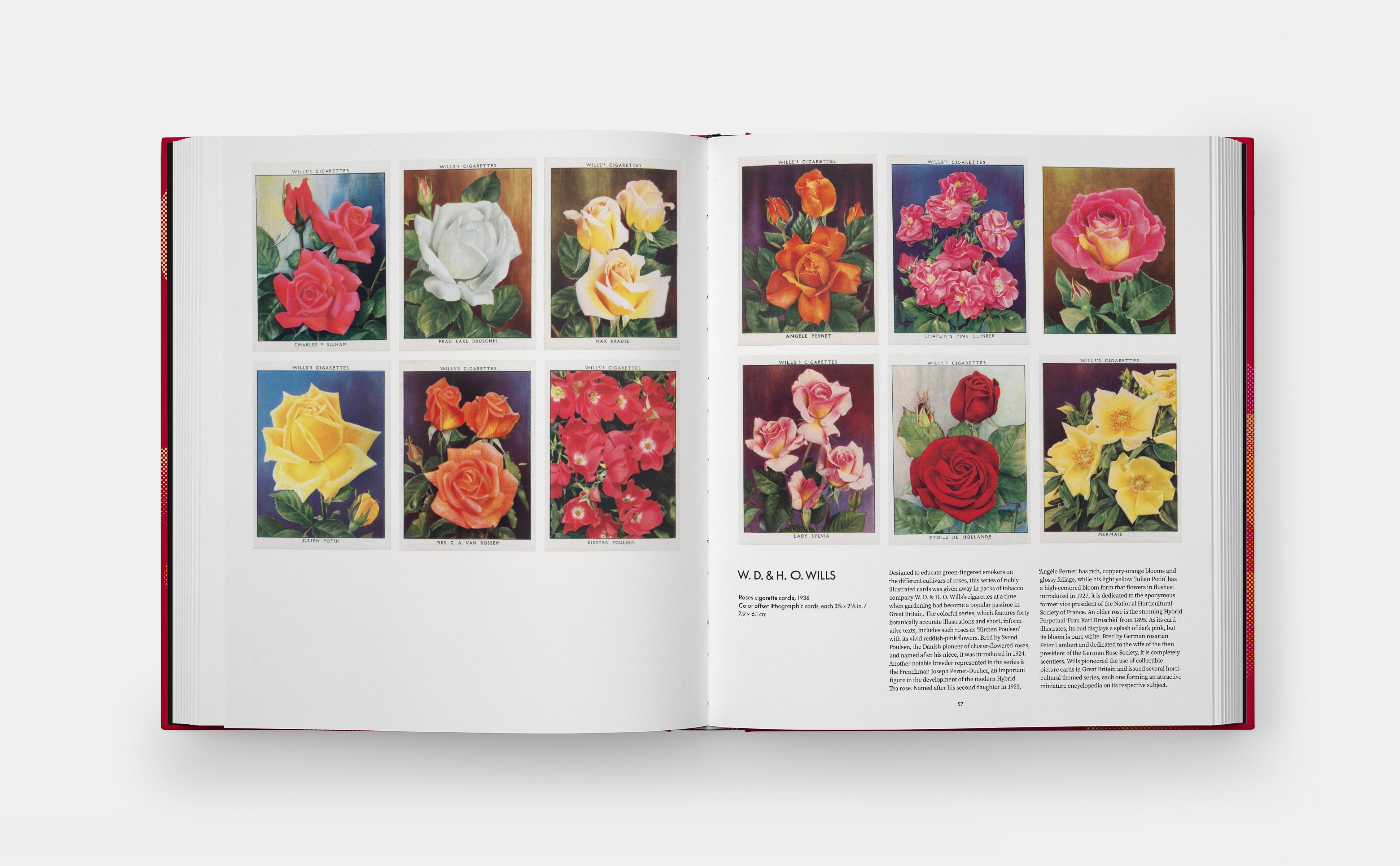 Beispielinhalt (Bild) The Rose Book