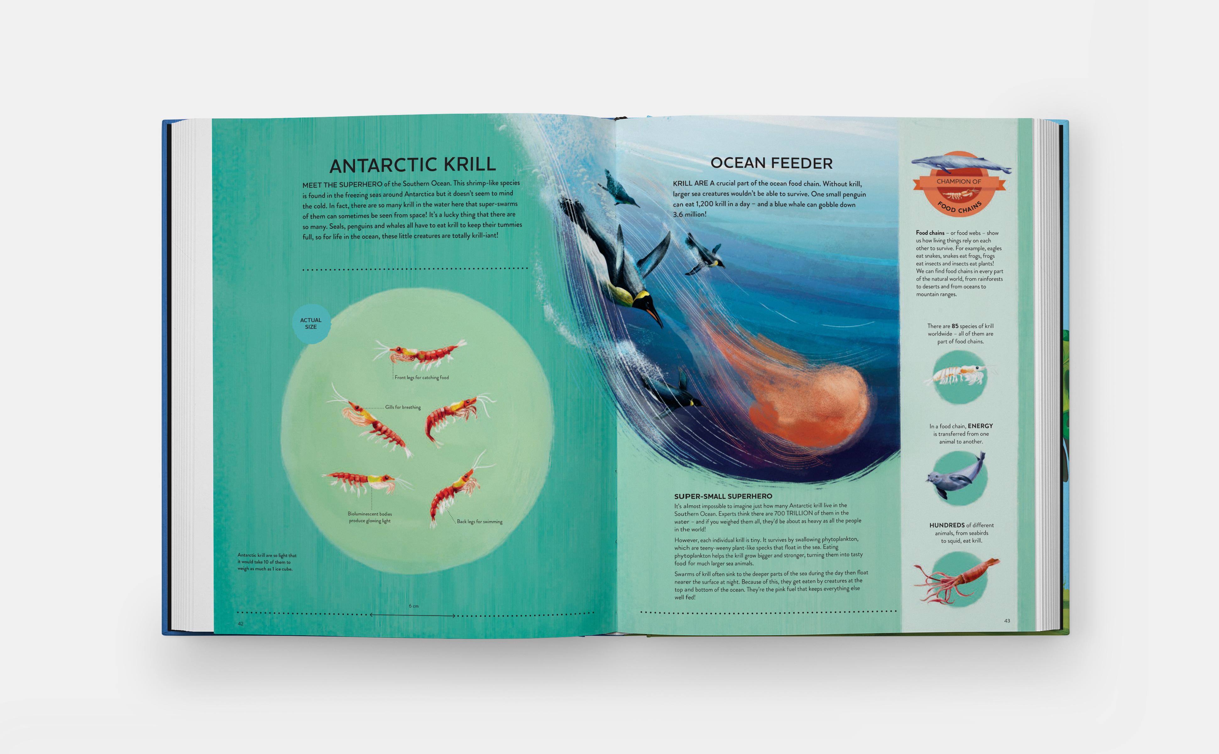 Beispielinhalt (Bild) Nature's Tiny Champions