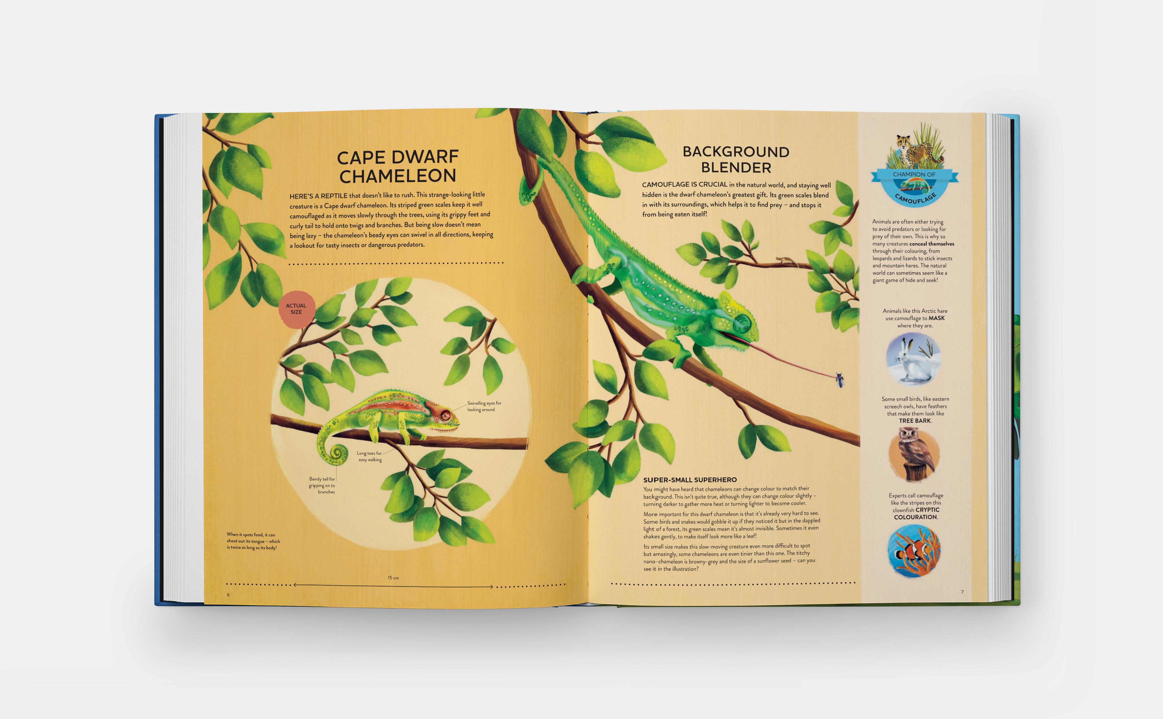 Beispielinhalt (Bild) Nature's Tiny Champions