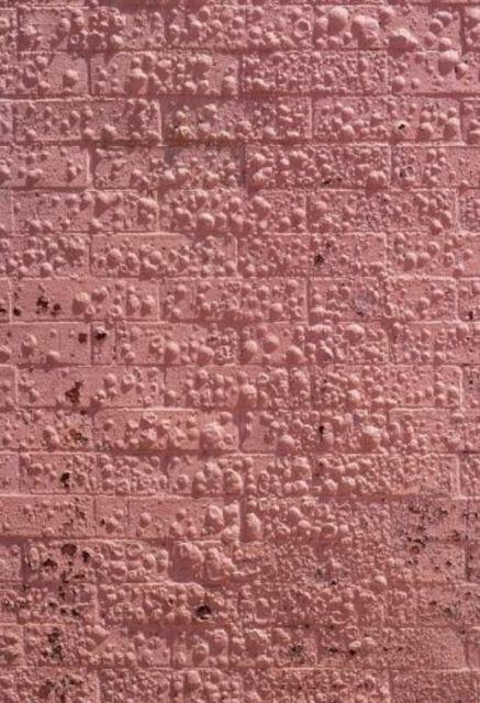 Vorderes Coverbild Californian Wildflowers