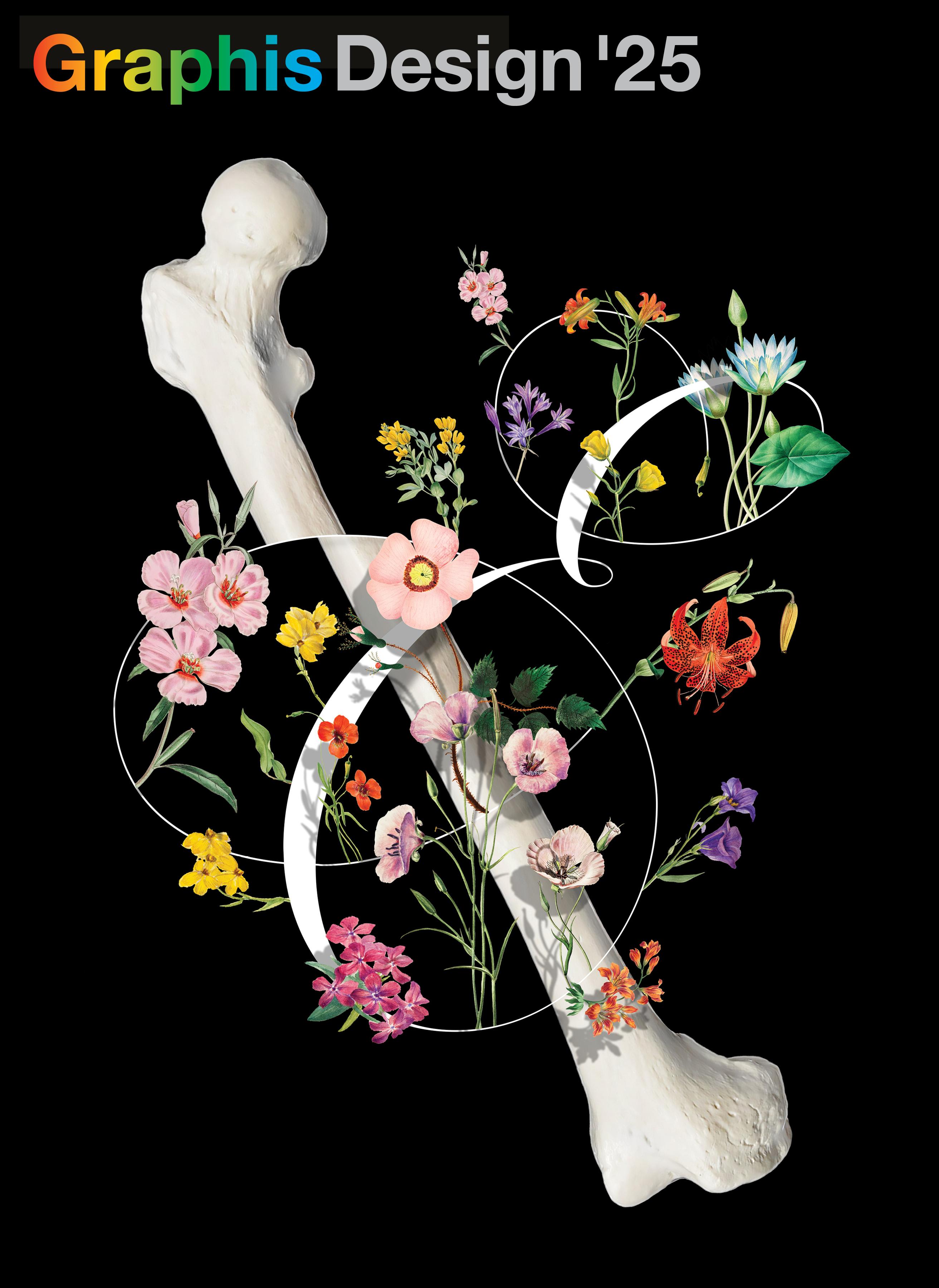 Vorderes Coverbild Graphis Design Annual 2025