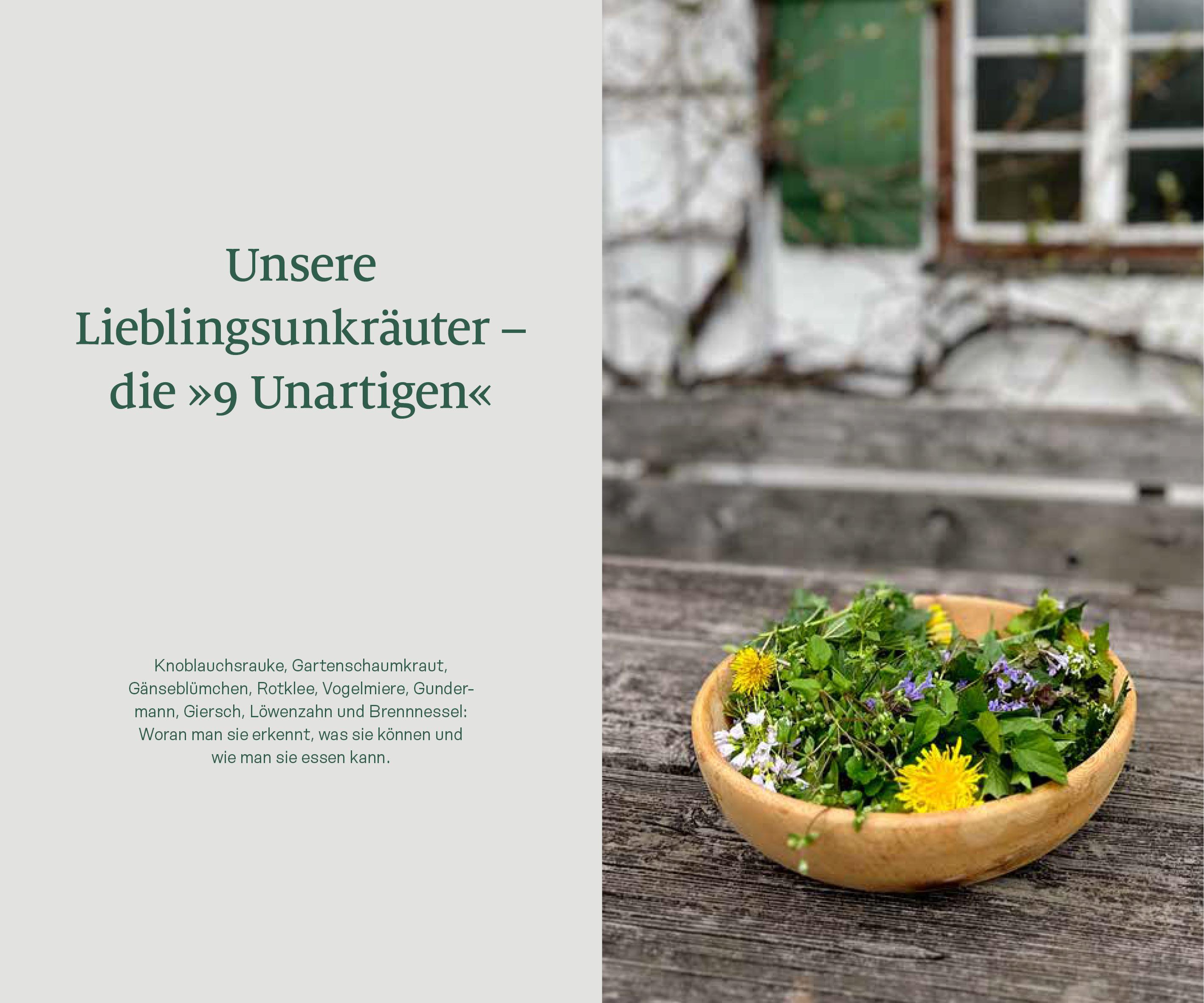 Beispielinhalt (Bild) Köstliches Unkraut