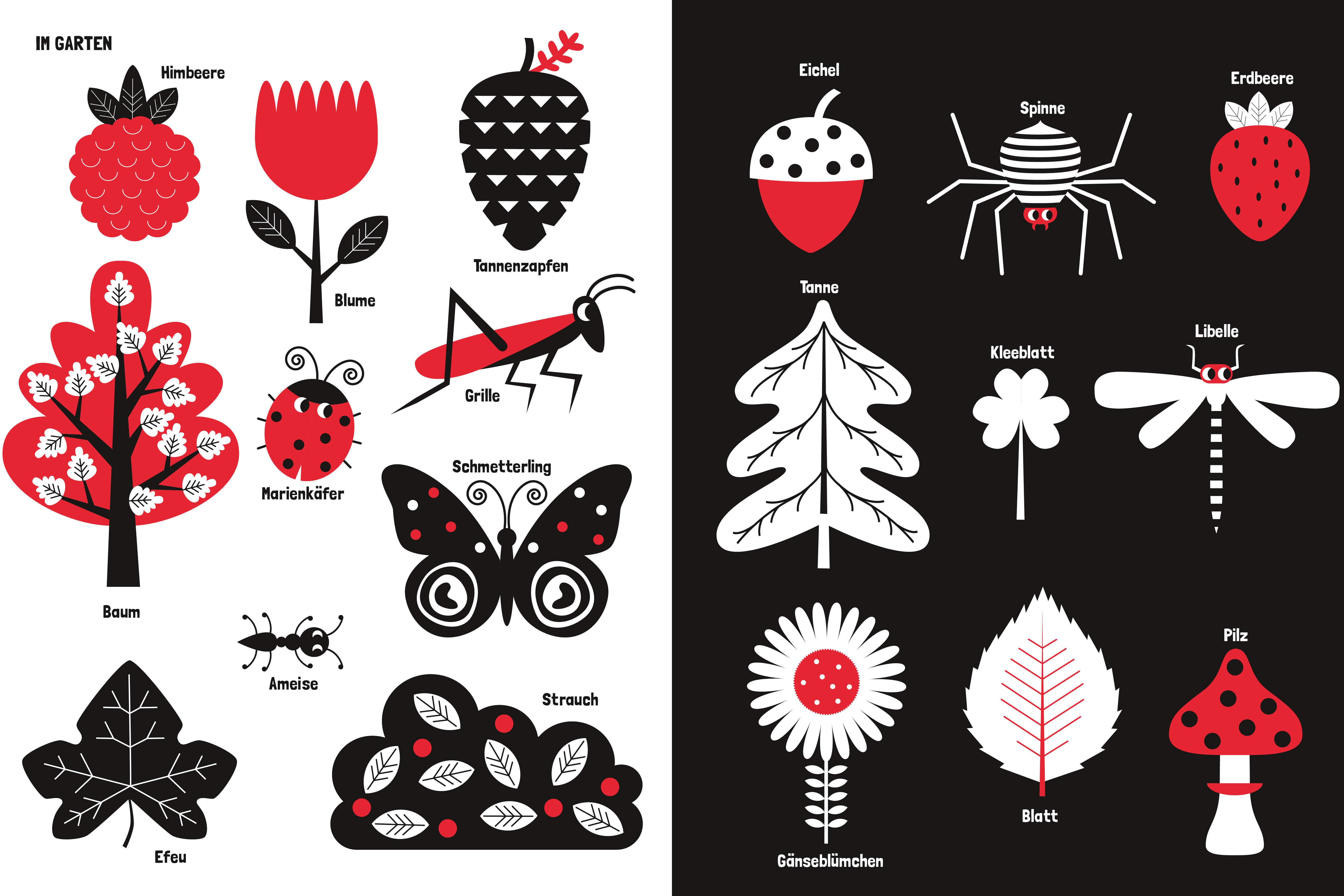 Beispielinhalt (Bild) Guten Morgen liebe Welt