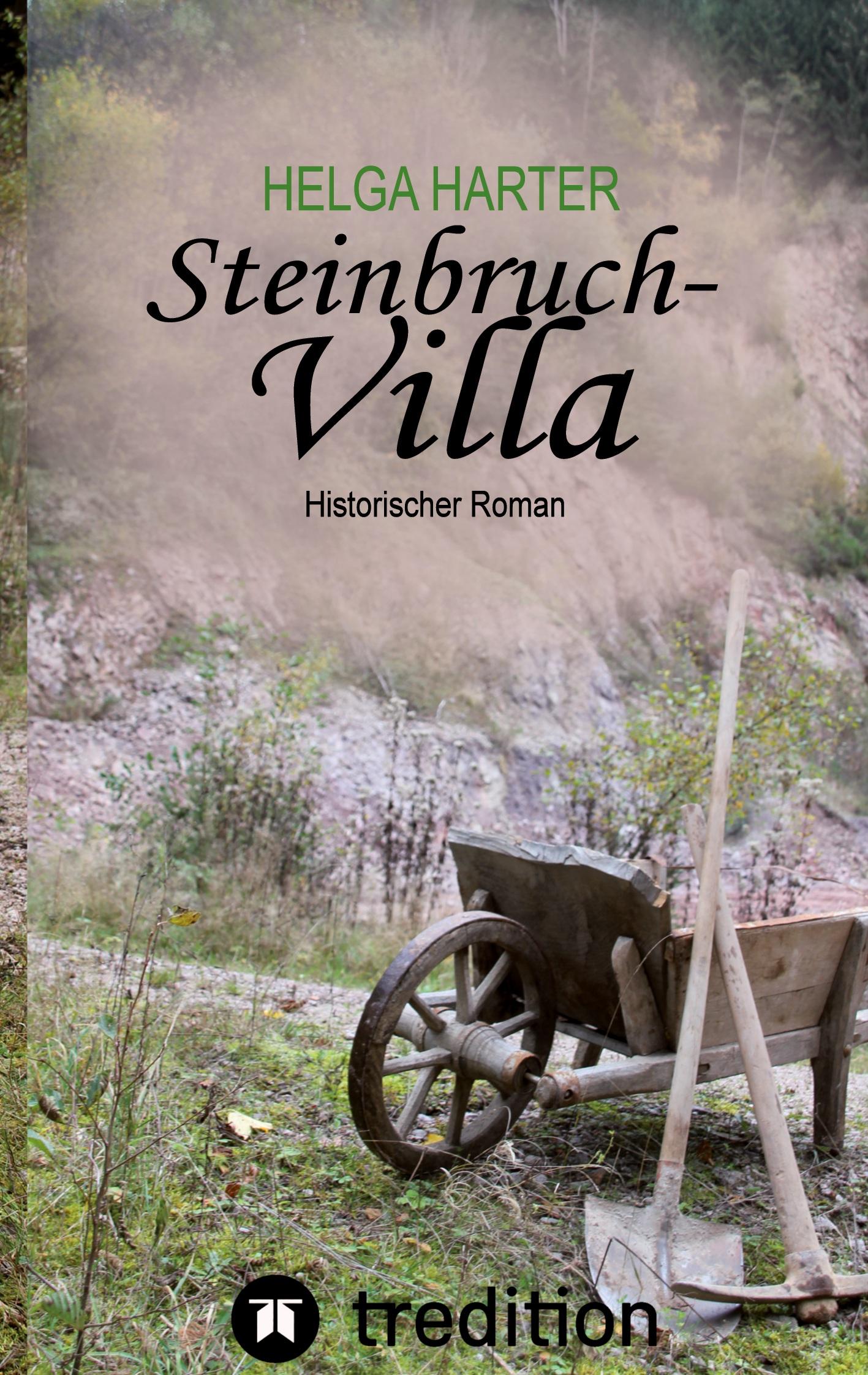 Vorderes Coverbild Steinbruchvilla