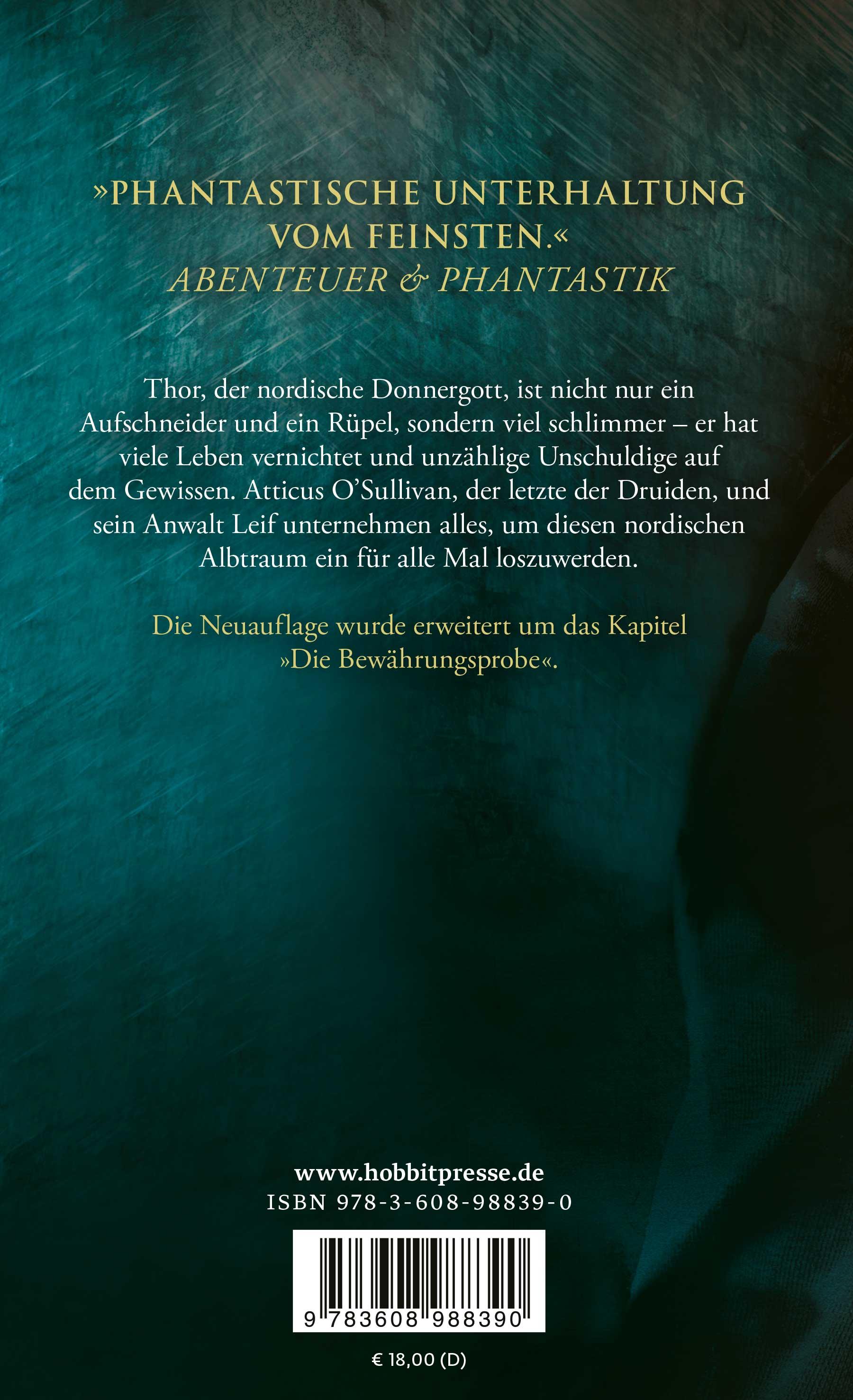 Rückseitencover Gehämmert