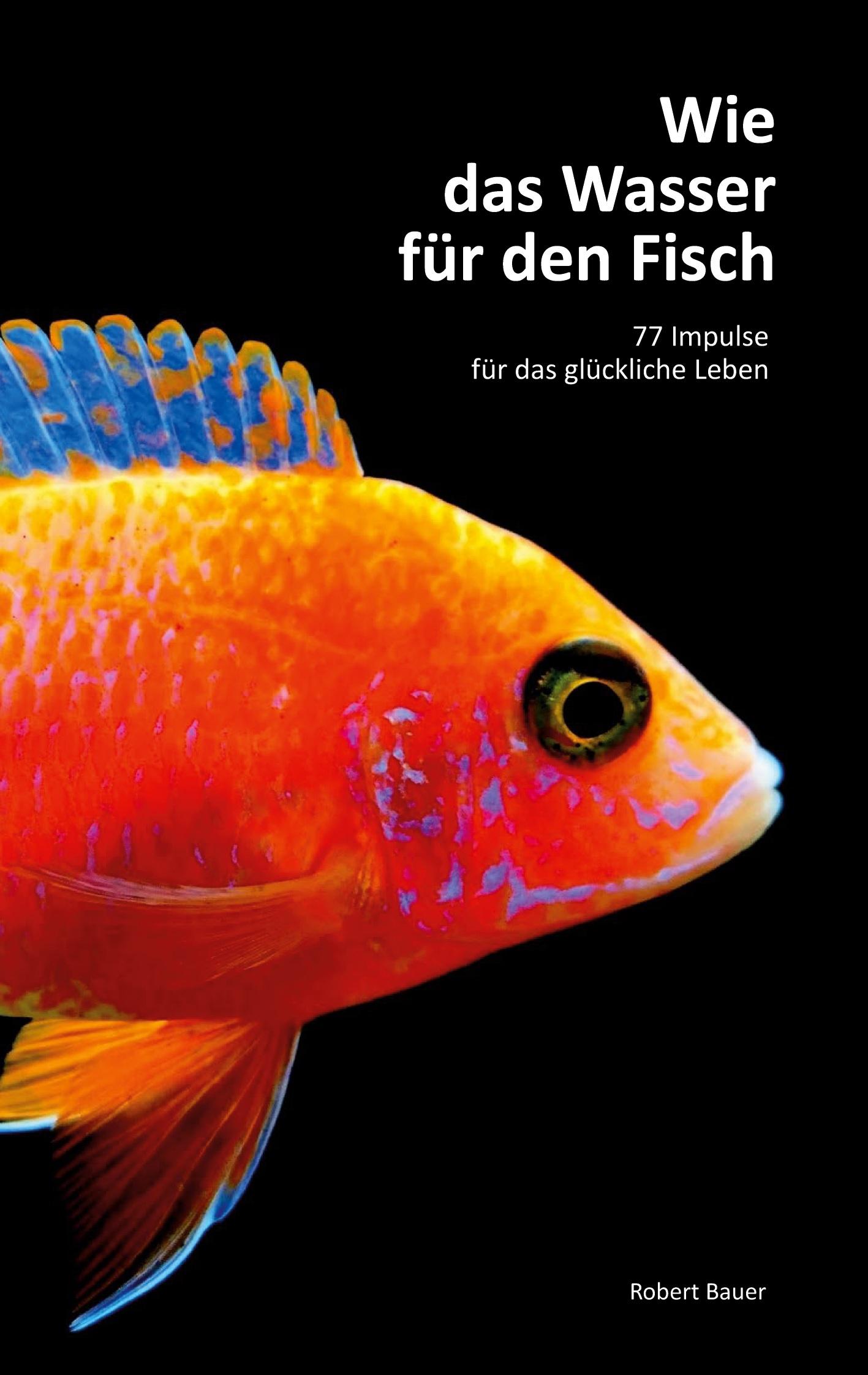 Vorderes Coverbild Wie das Wasser für den Fisch