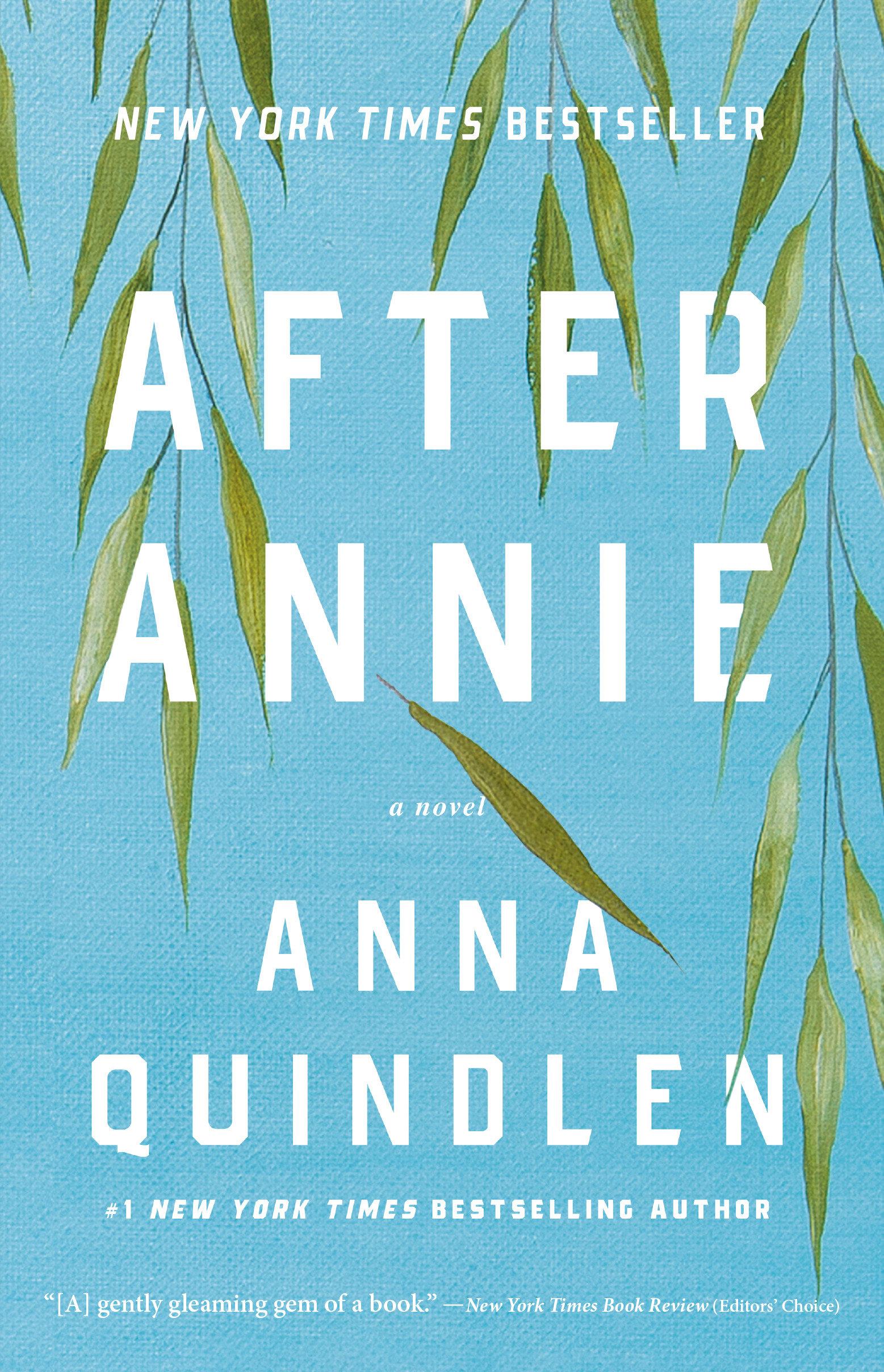 Vorderes Coverbild After Annie