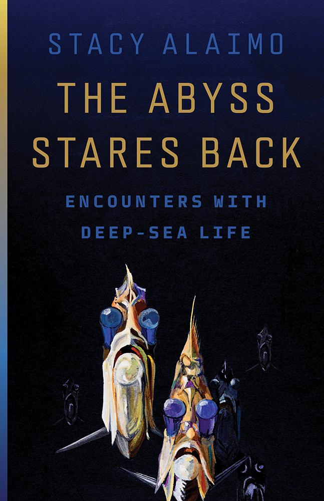 Vorderes Coverbild The Abyss Stares Back