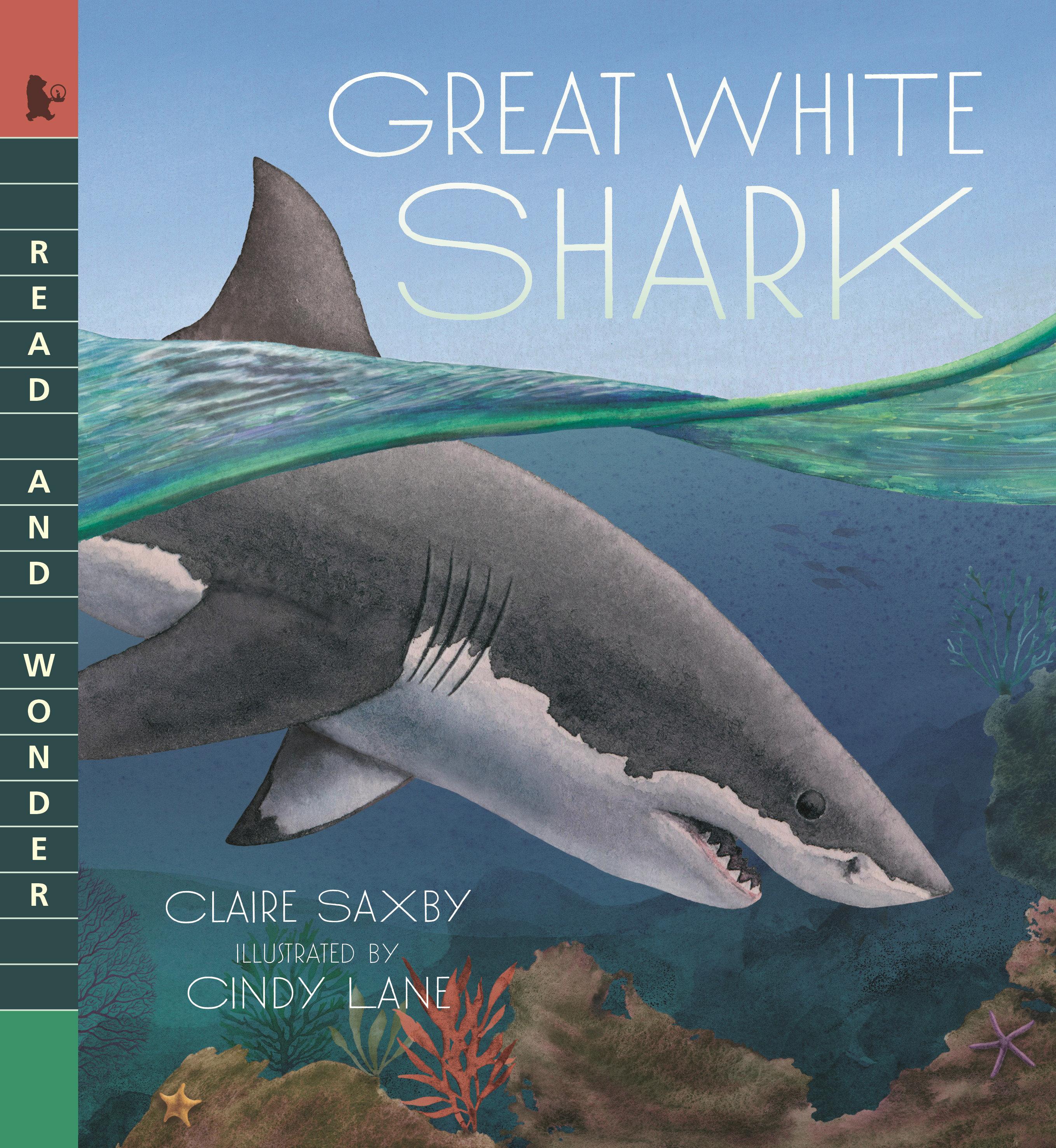 Vorderes Coverbild Great White Shark