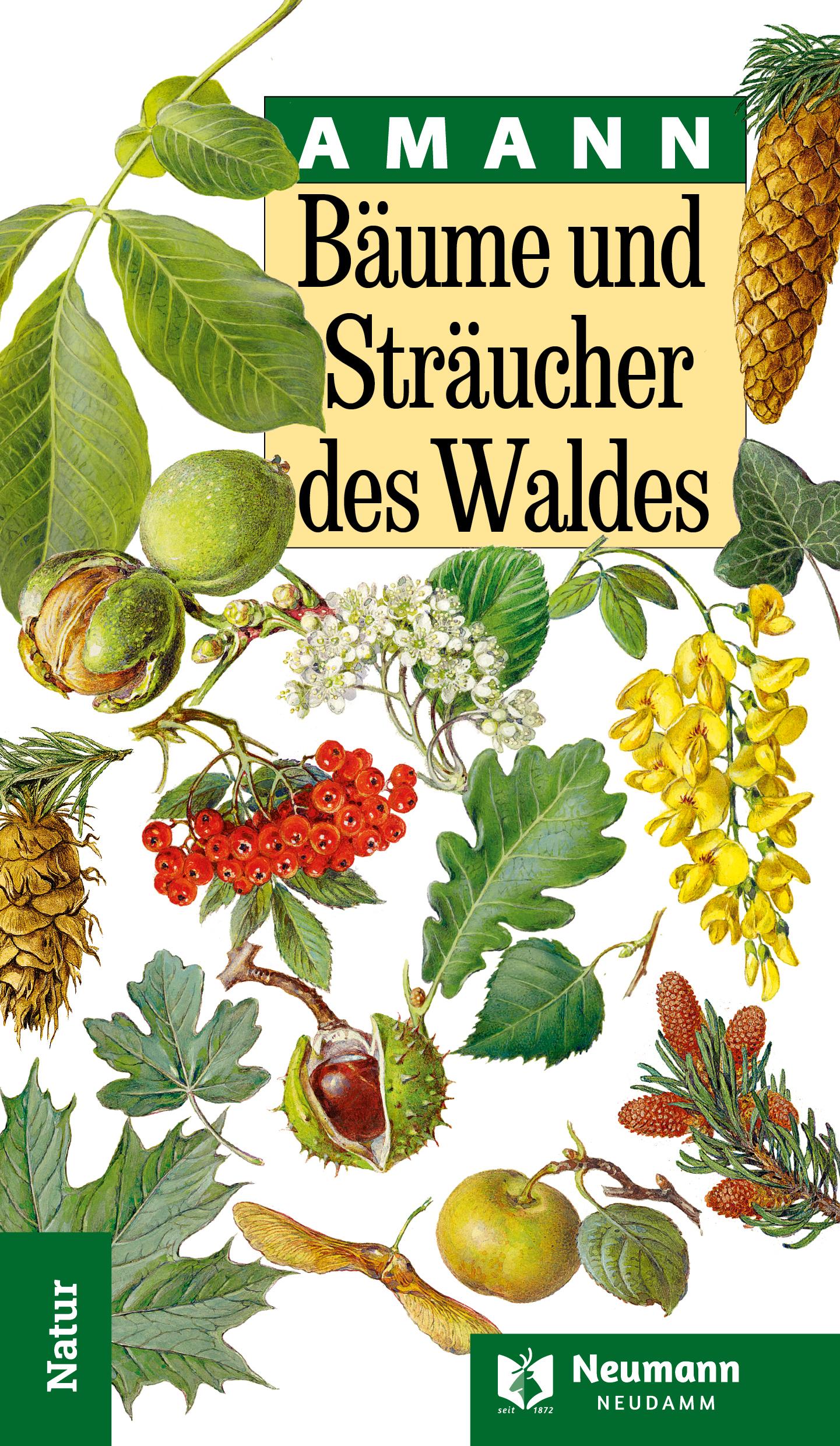 Vorderes Coverbild Bäume und Sträucher des Waldes