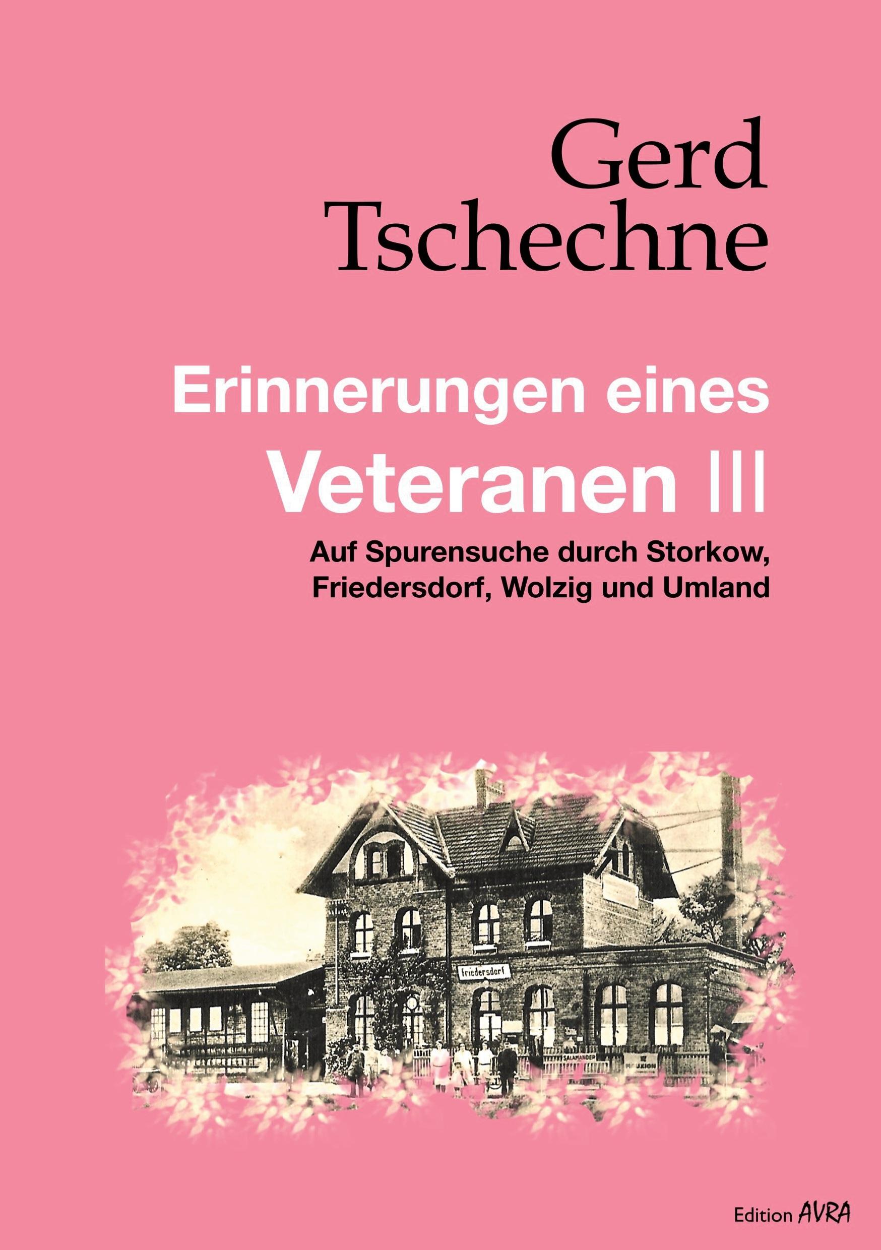 Vorderes Coverbild Erinnerungen eines Veteranen III