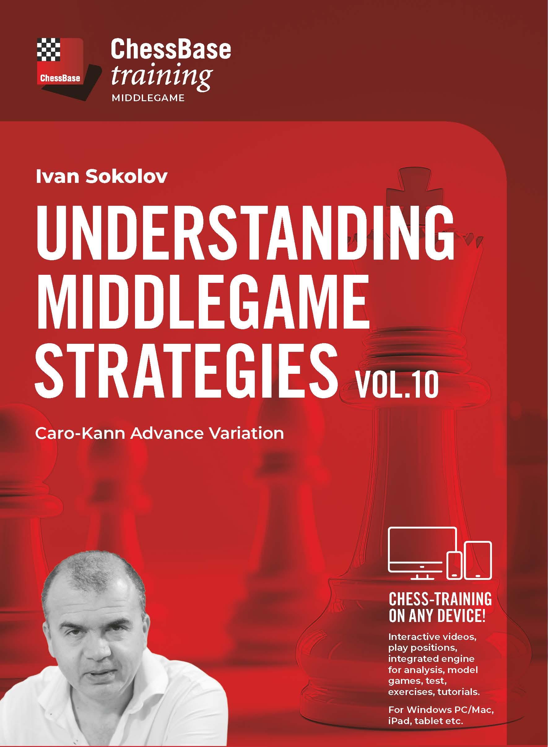 Vorderes Coverbild Understanding Middlegame Strategies Vol. 10