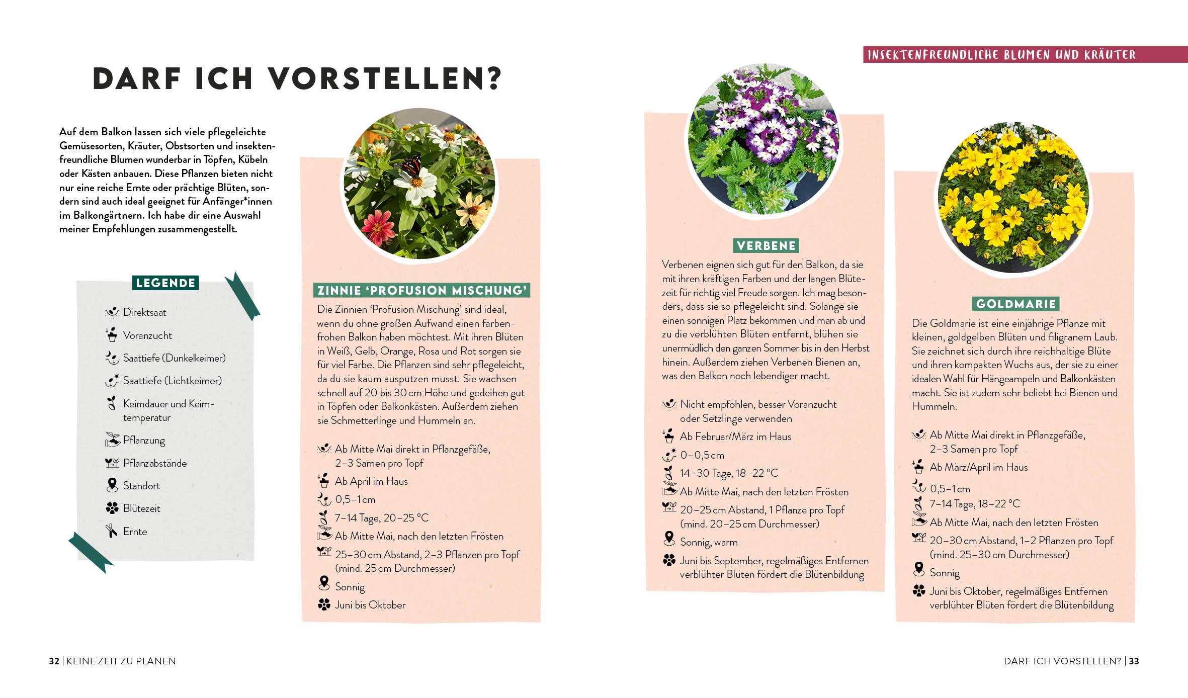 Beispielinhalt (Bild) Keine Zeit zu gärtnern - Balkonglück mit wenig Aufwand