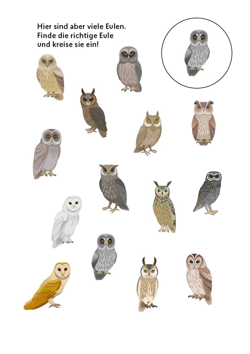 Beispielinhalt (Bild) Mein zauberhafter Rätselblock für Harry Potter-Fans - Finde die Eule!