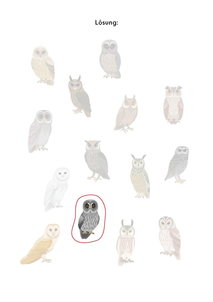 Beispielinhalt (Bild) Mein zauberhafter Rätselblock für Harry Potter-Fans - Finde die Eule!