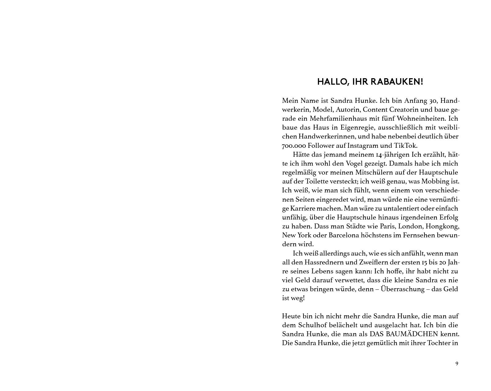 Beispielinhalt (Bild) Ich zeig' euch, wo der Hammer hängt!