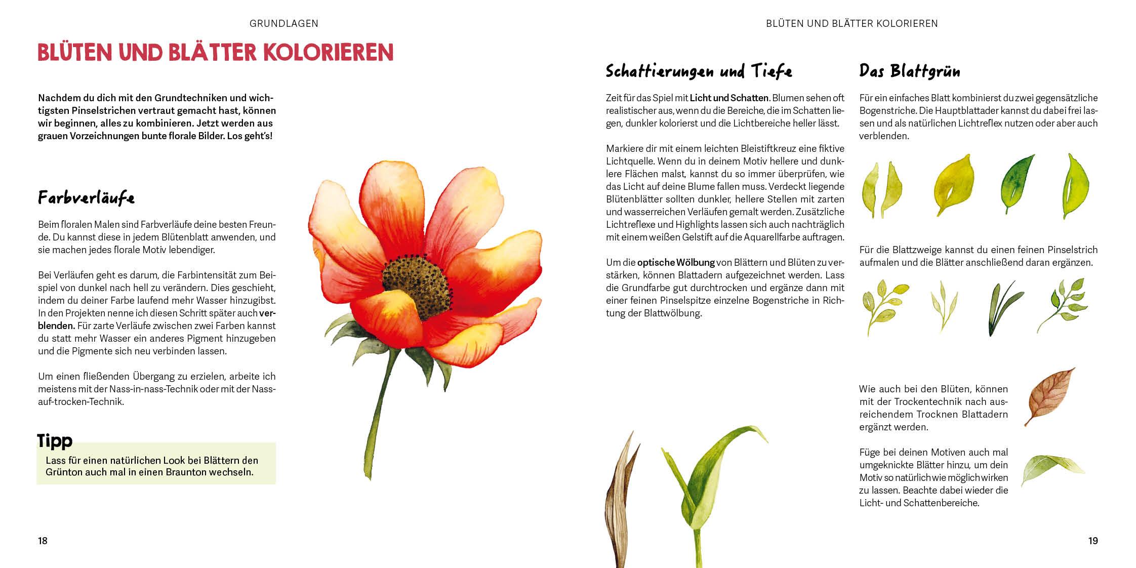 Beispielinhalt (Bild) Mini Watercolor - Blumen