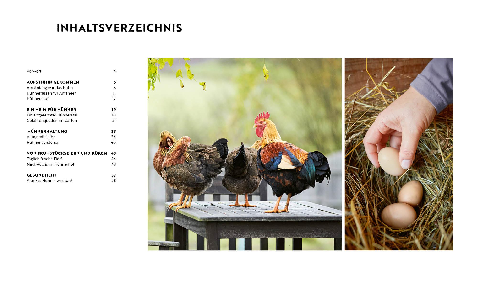 Beispielinhalt (Bild) Gartenmomente: Hühner