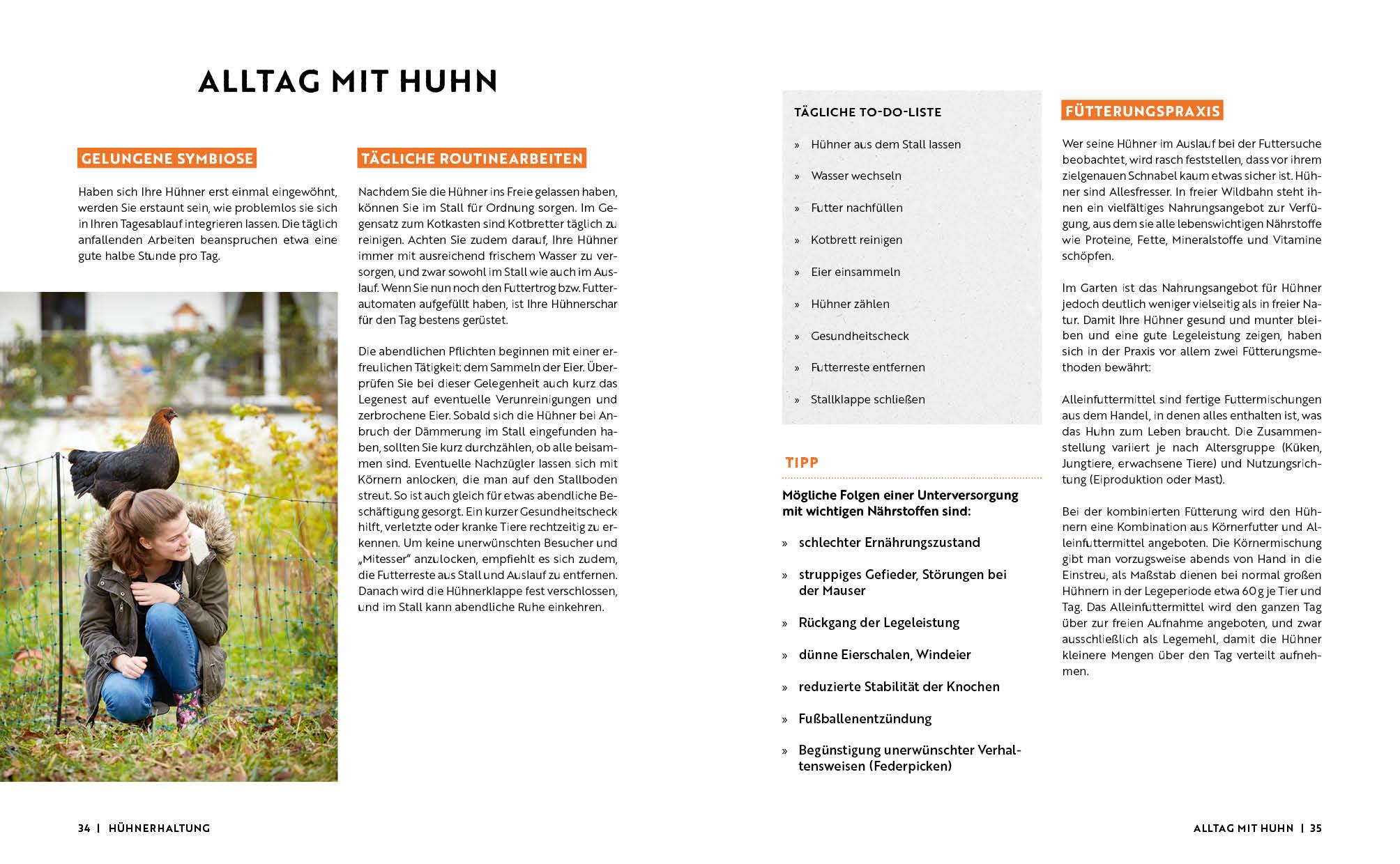 Beispielinhalt (Bild) Gartenmomente: Hühner