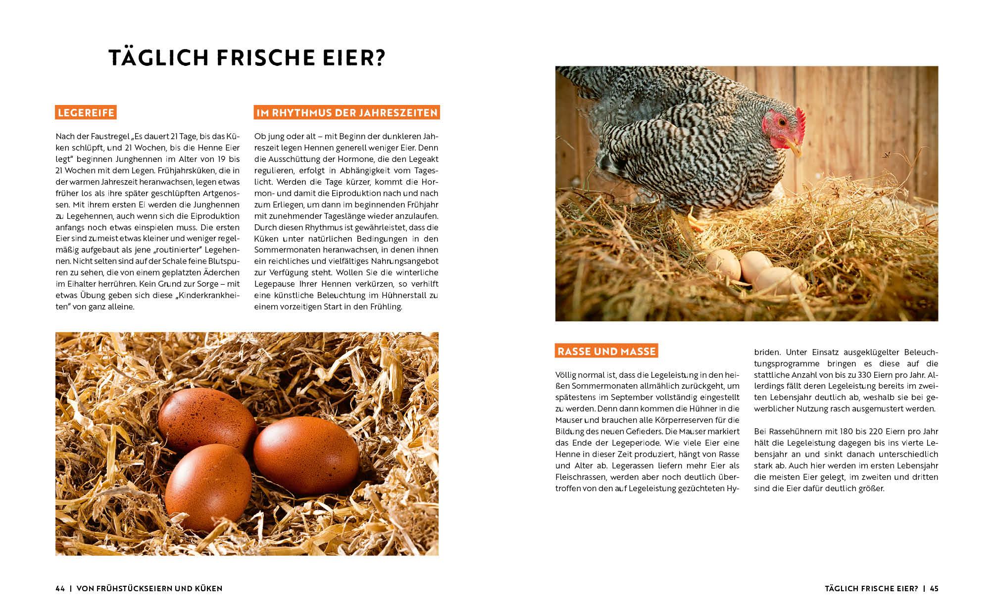 Beispielinhalt (Bild) Gartenmomente: Hühner