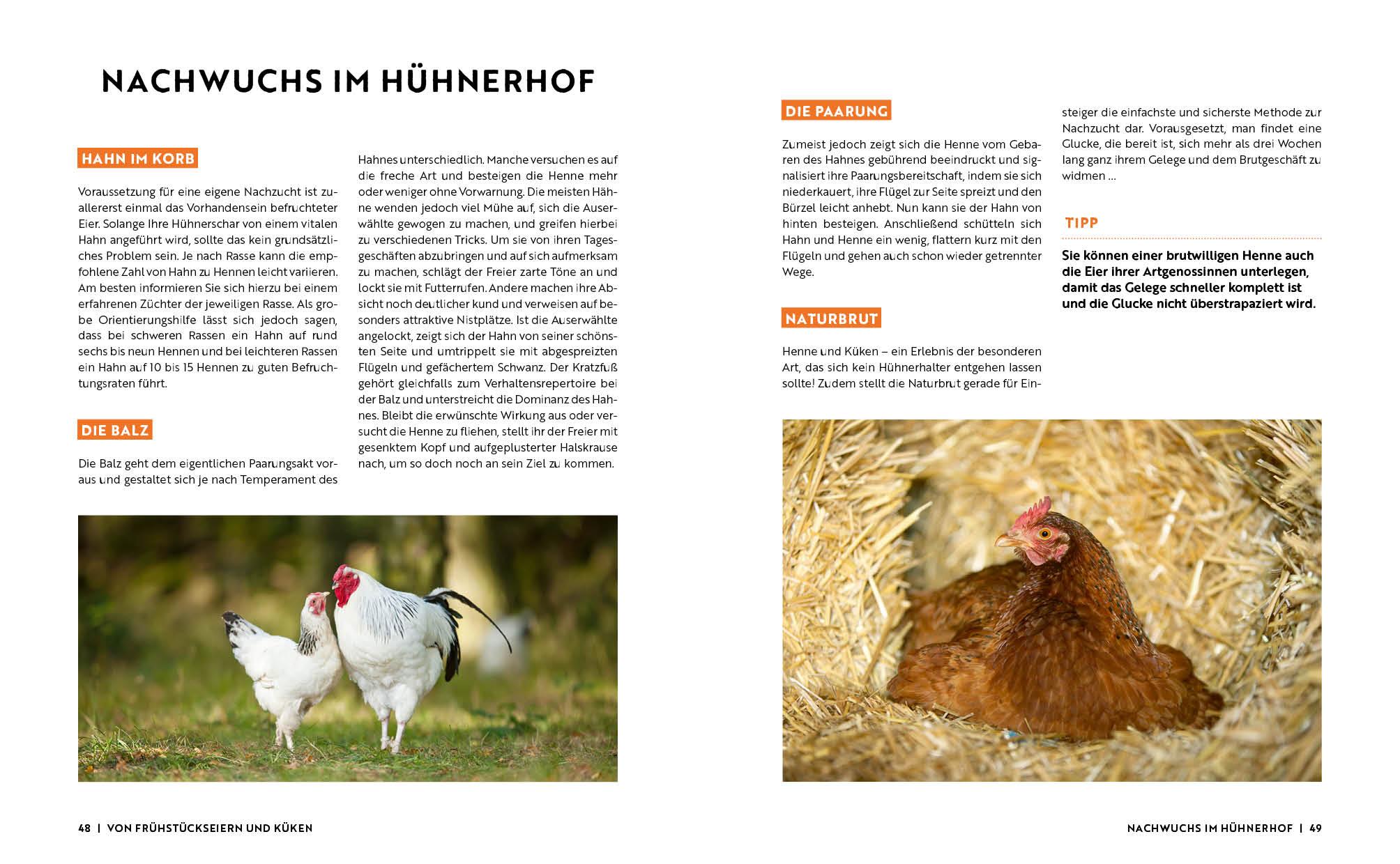 Beispielinhalt (Bild) Gartenmomente: Hühner