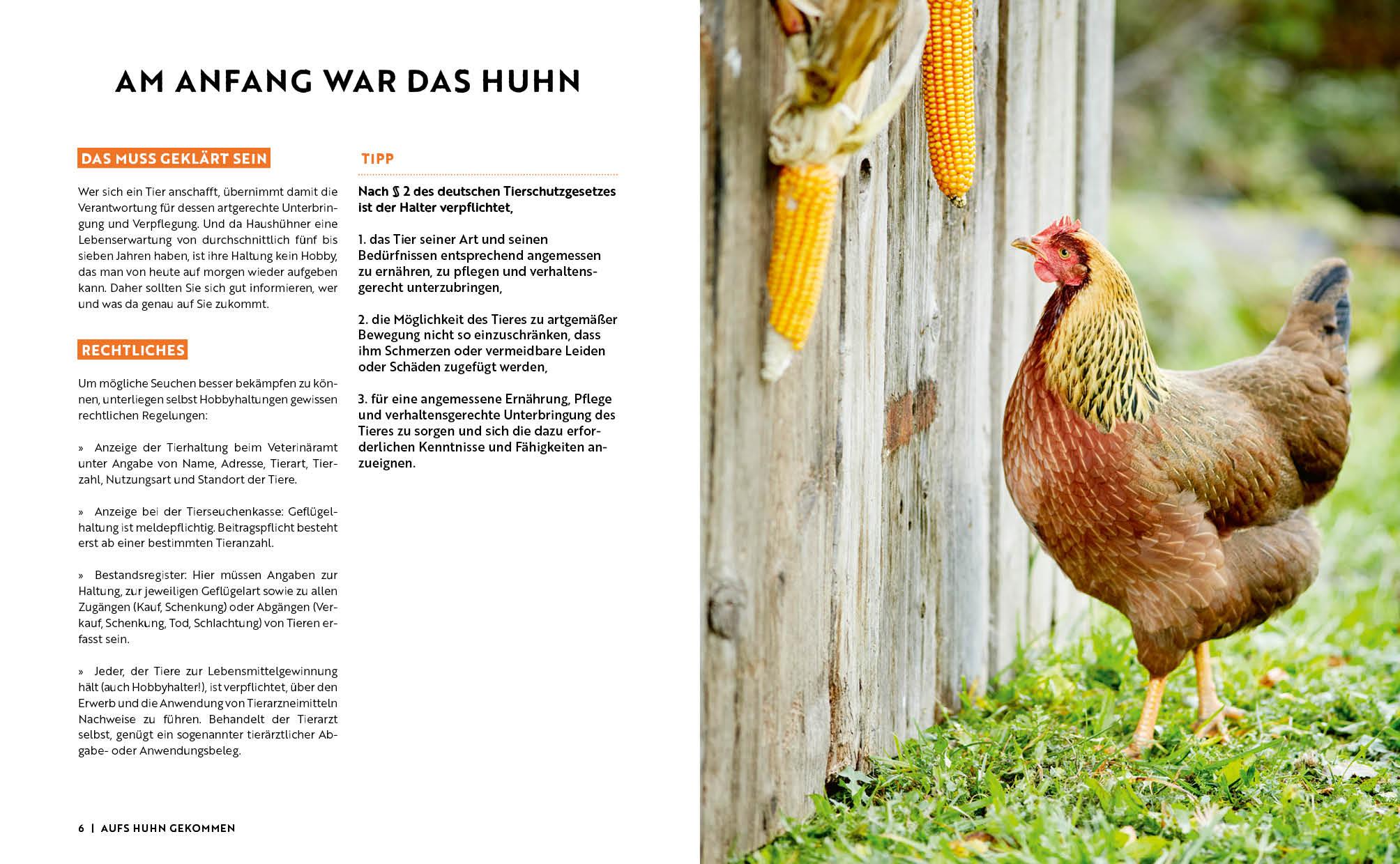 Beispielinhalt (Bild) Gartenmomente: Hühner