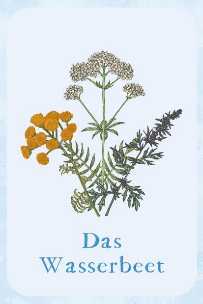 Beispielinhalt (Bild) Kartenset: Magie im Hexengarten - 64 Karten zum Gärtnern mit grüner Magie