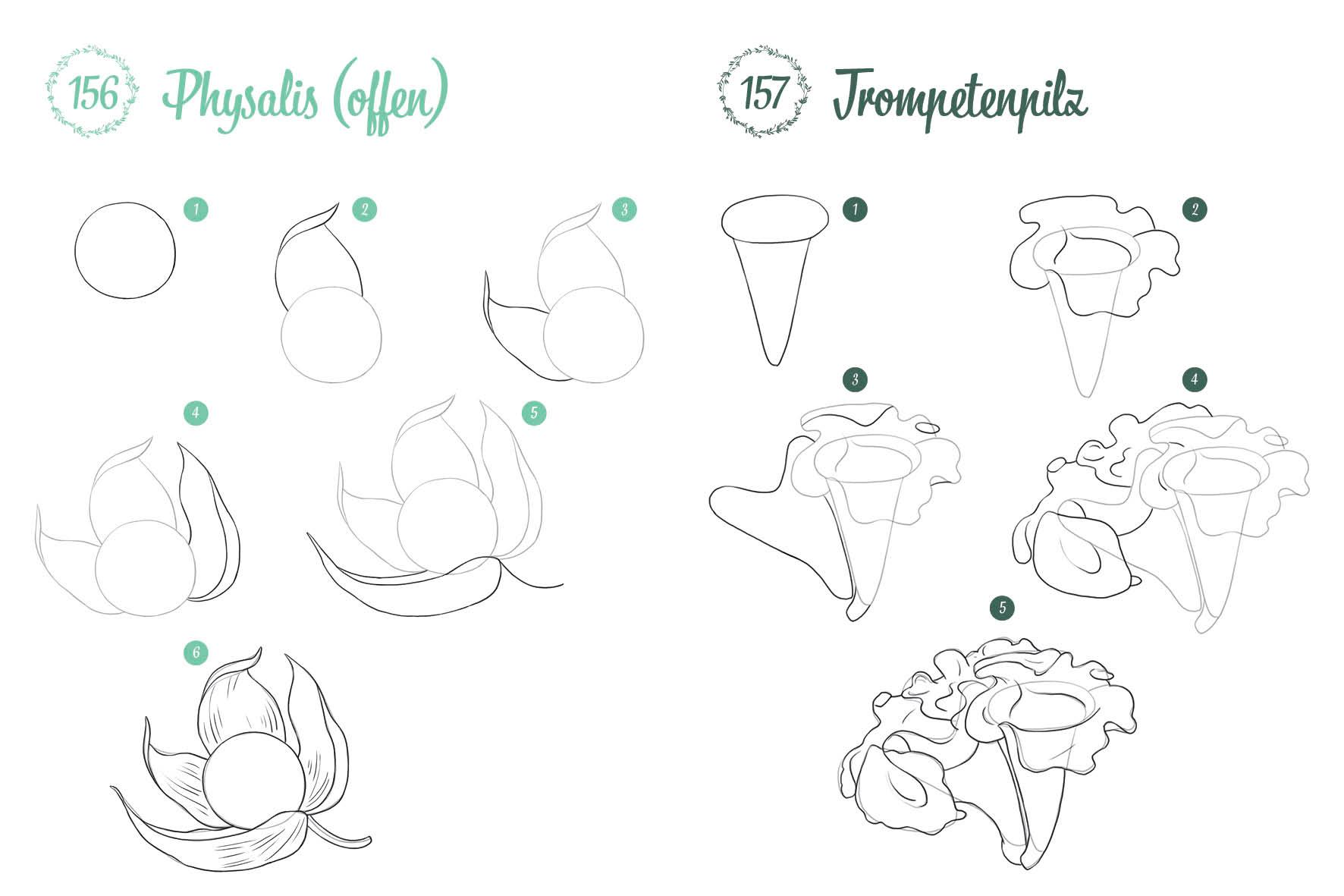Beispielinhalt (Bild) 300 Motive zeichnen - Botanik
