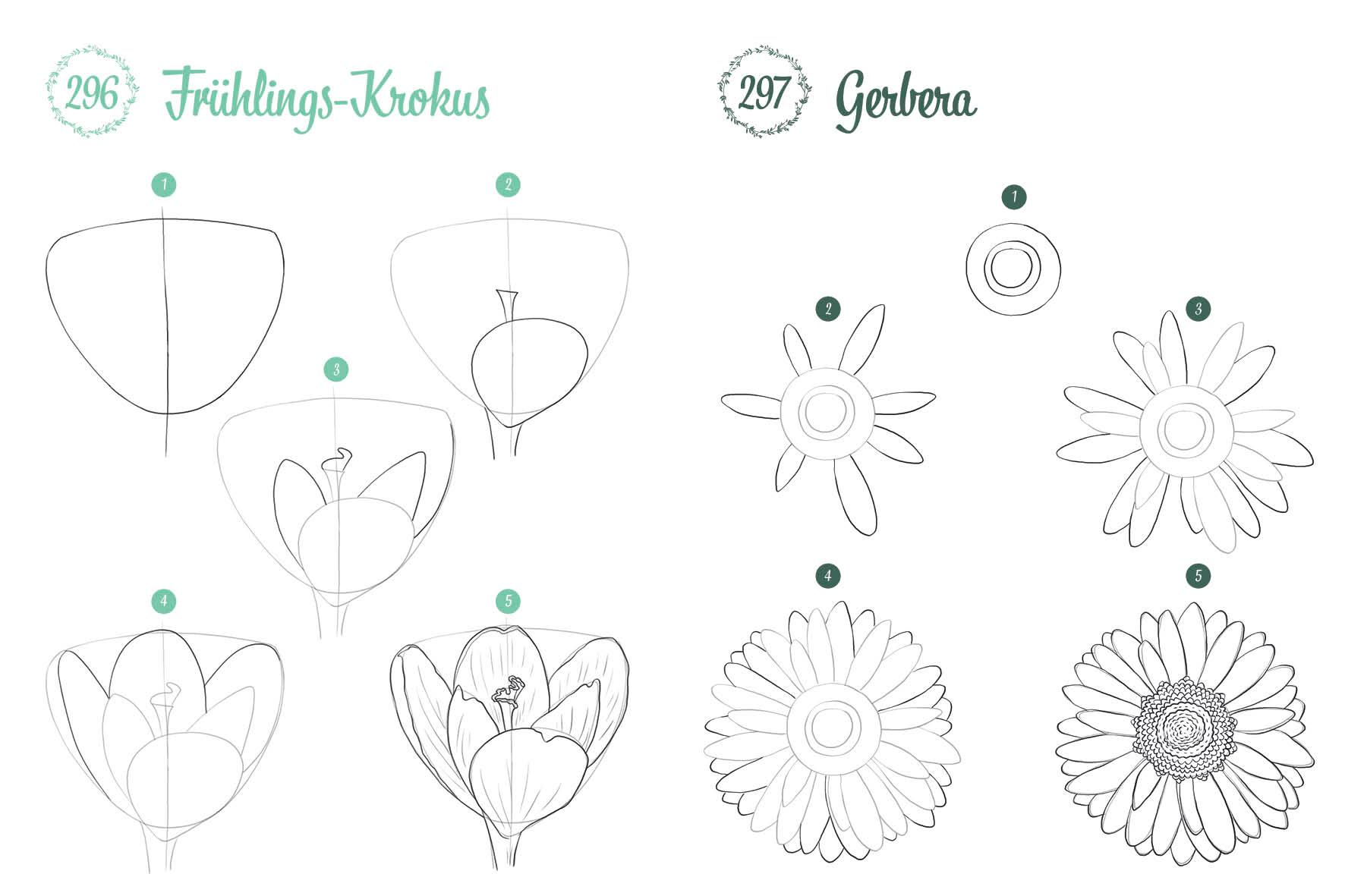 Beispielinhalt (Bild) 300 Motive zeichnen - Botanik