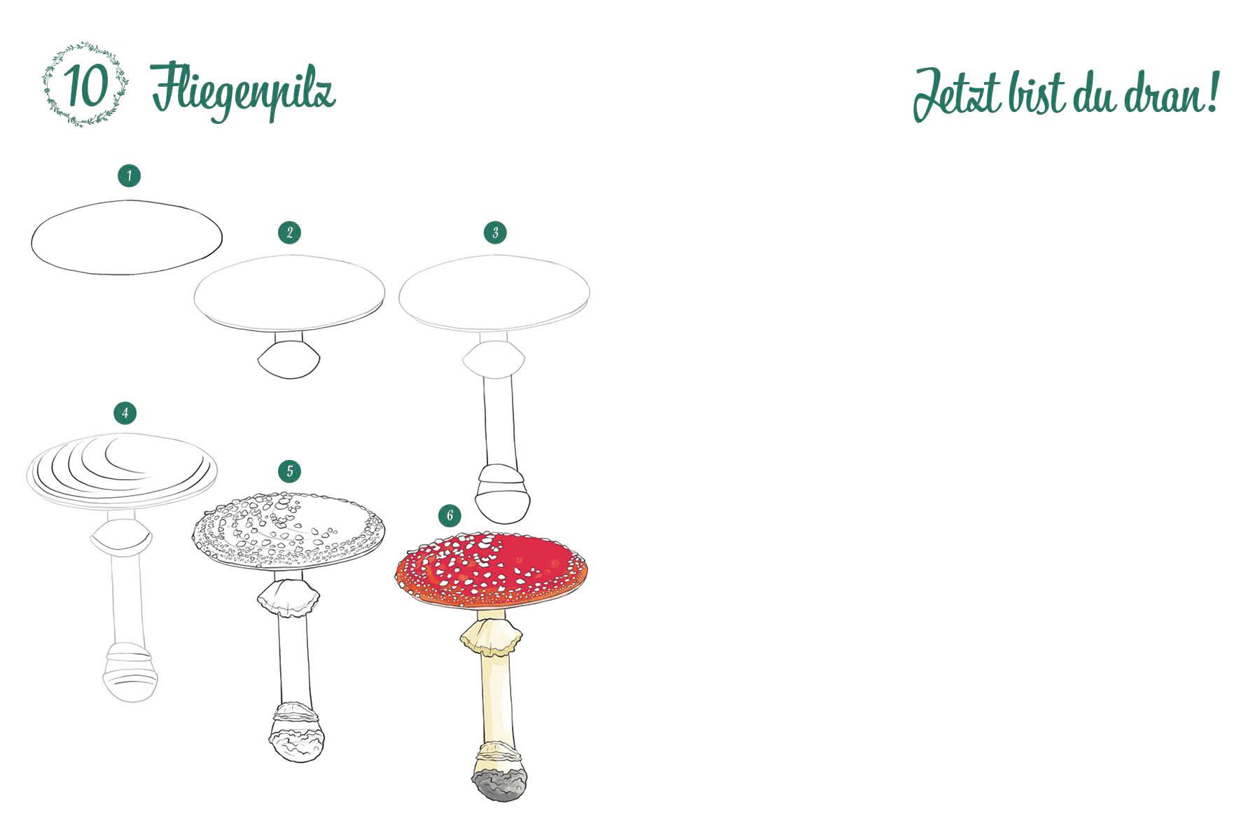 Beispielinhalt (Bild) 300 Motive zeichnen - Botanik