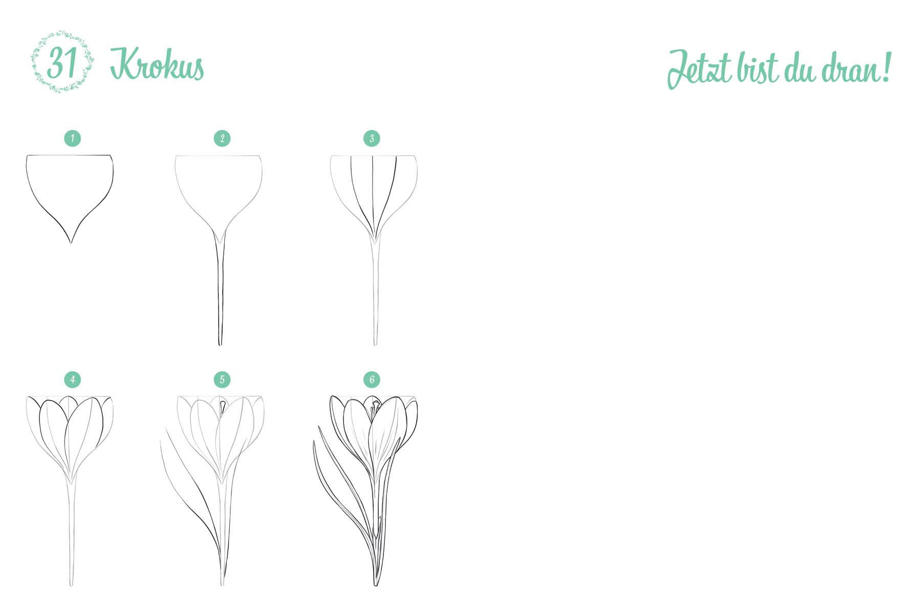 Beispielinhalt (Bild) 300 Motive zeichnen - Botanik