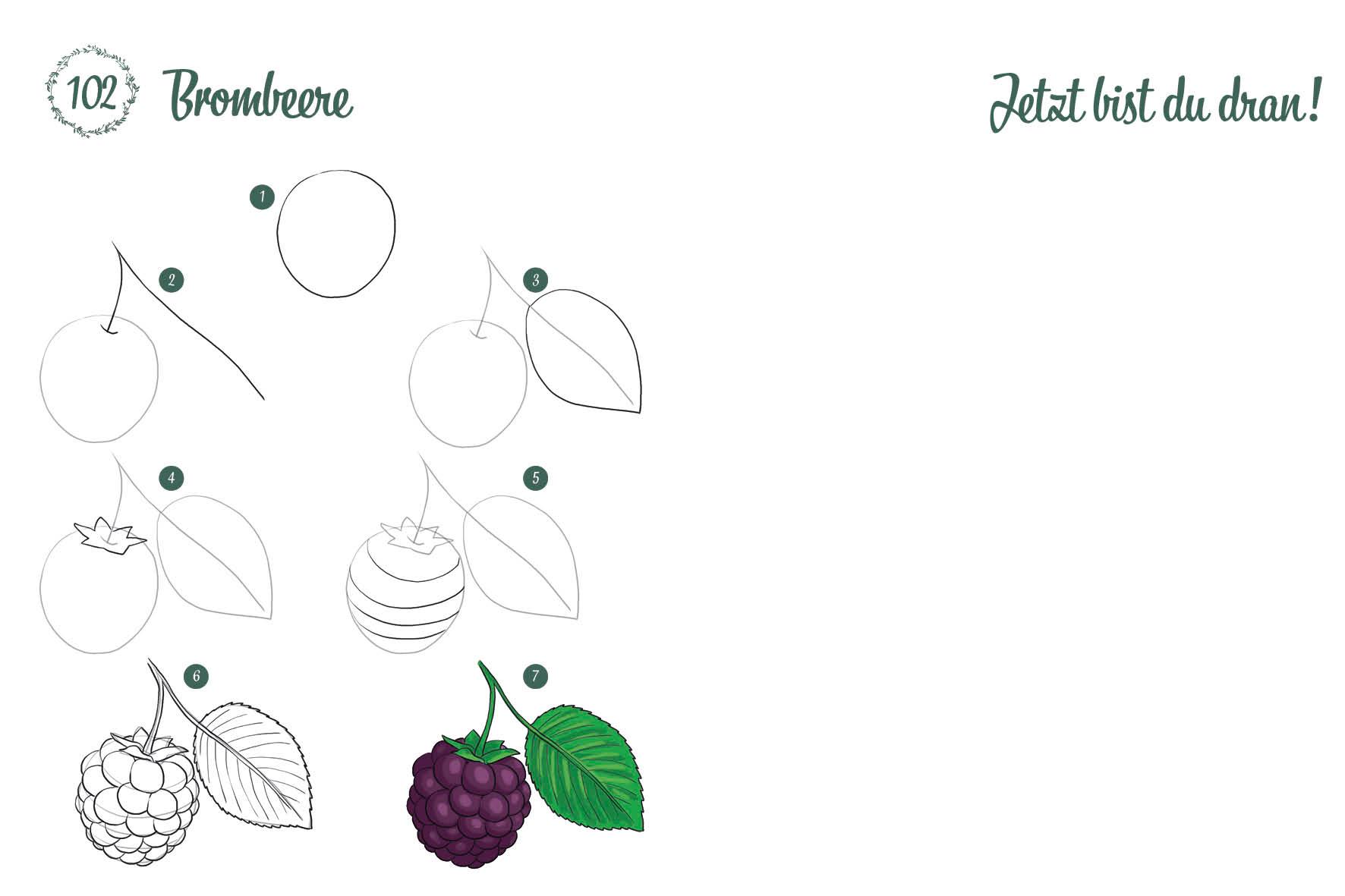 Beispielinhalt (Bild) 300 Motive zeichnen - Botanik
