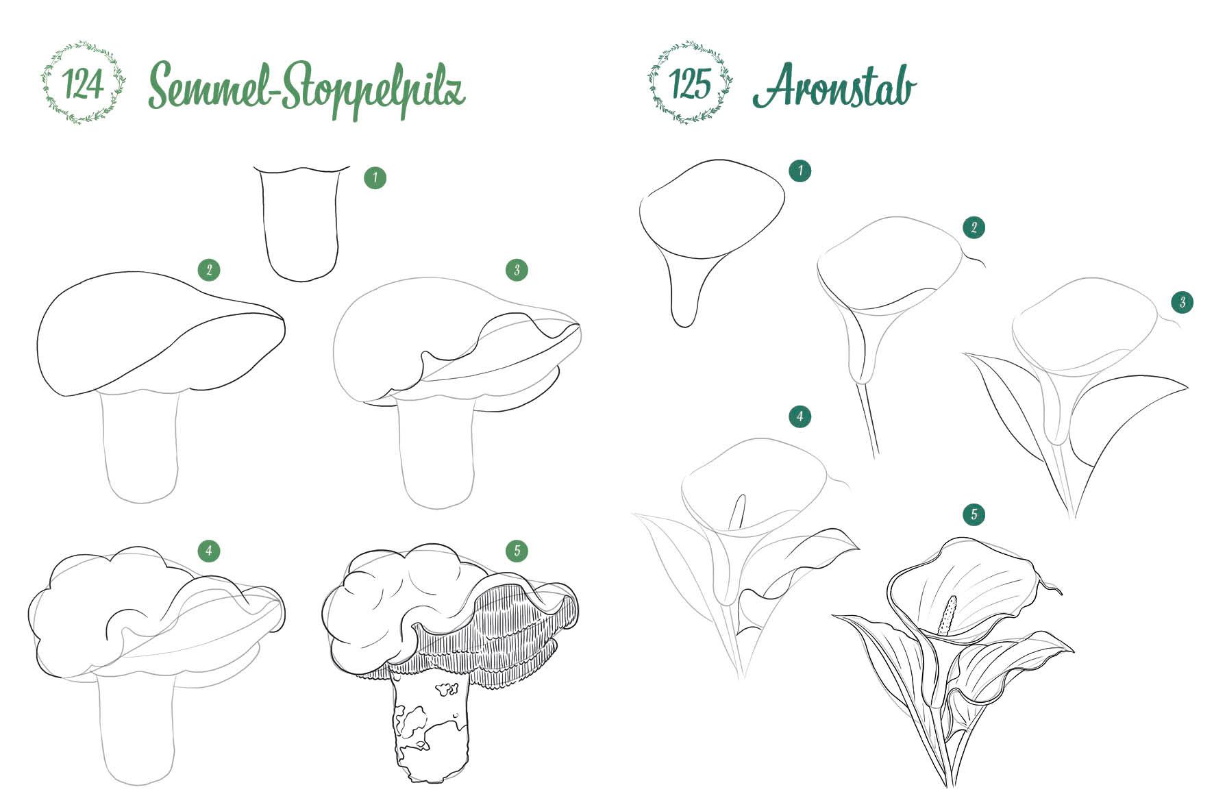 Beispielinhalt (Bild) 300 Motive zeichnen - Botanik