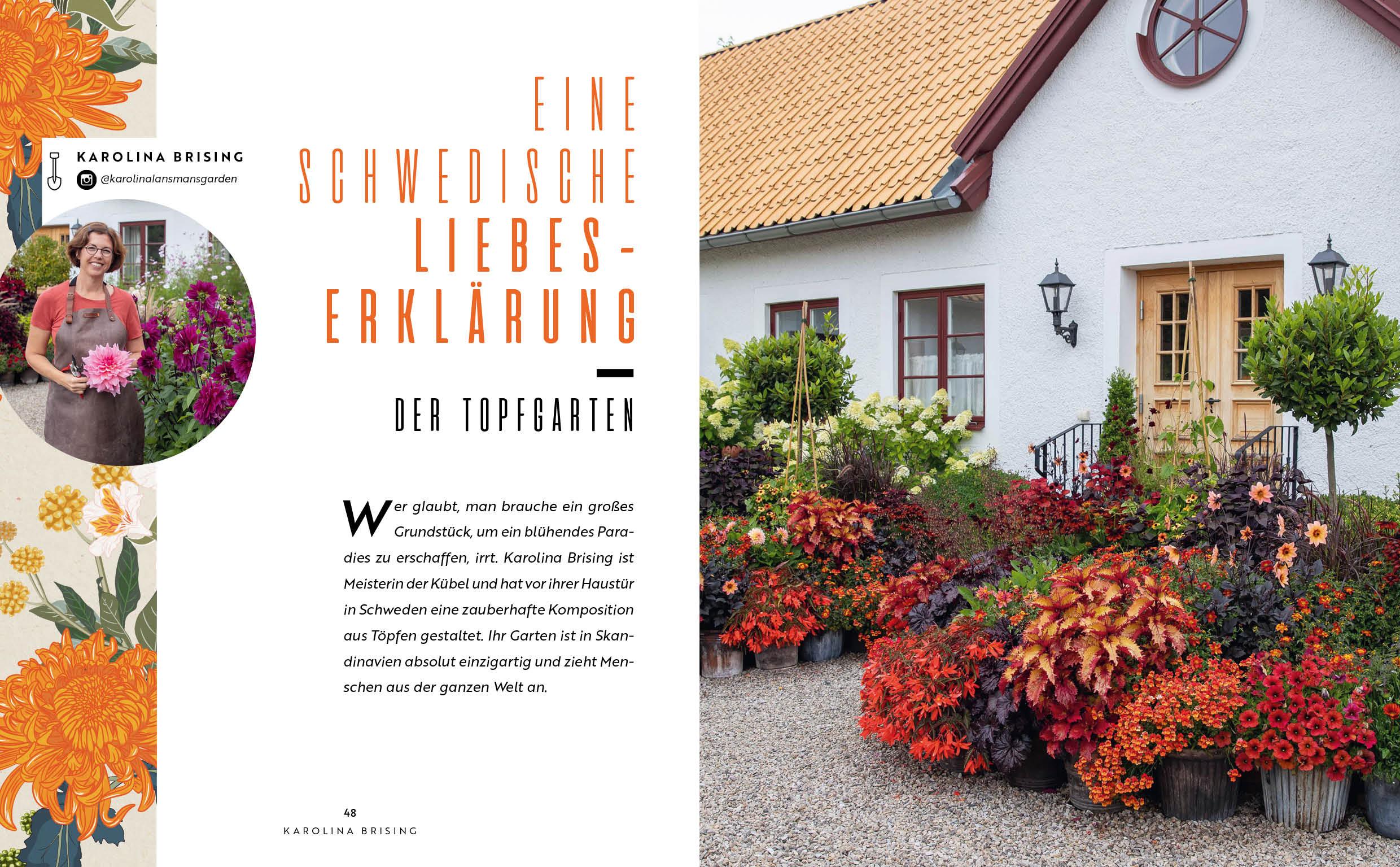 Beispielinhalt (Bild) Lasst uns beeten