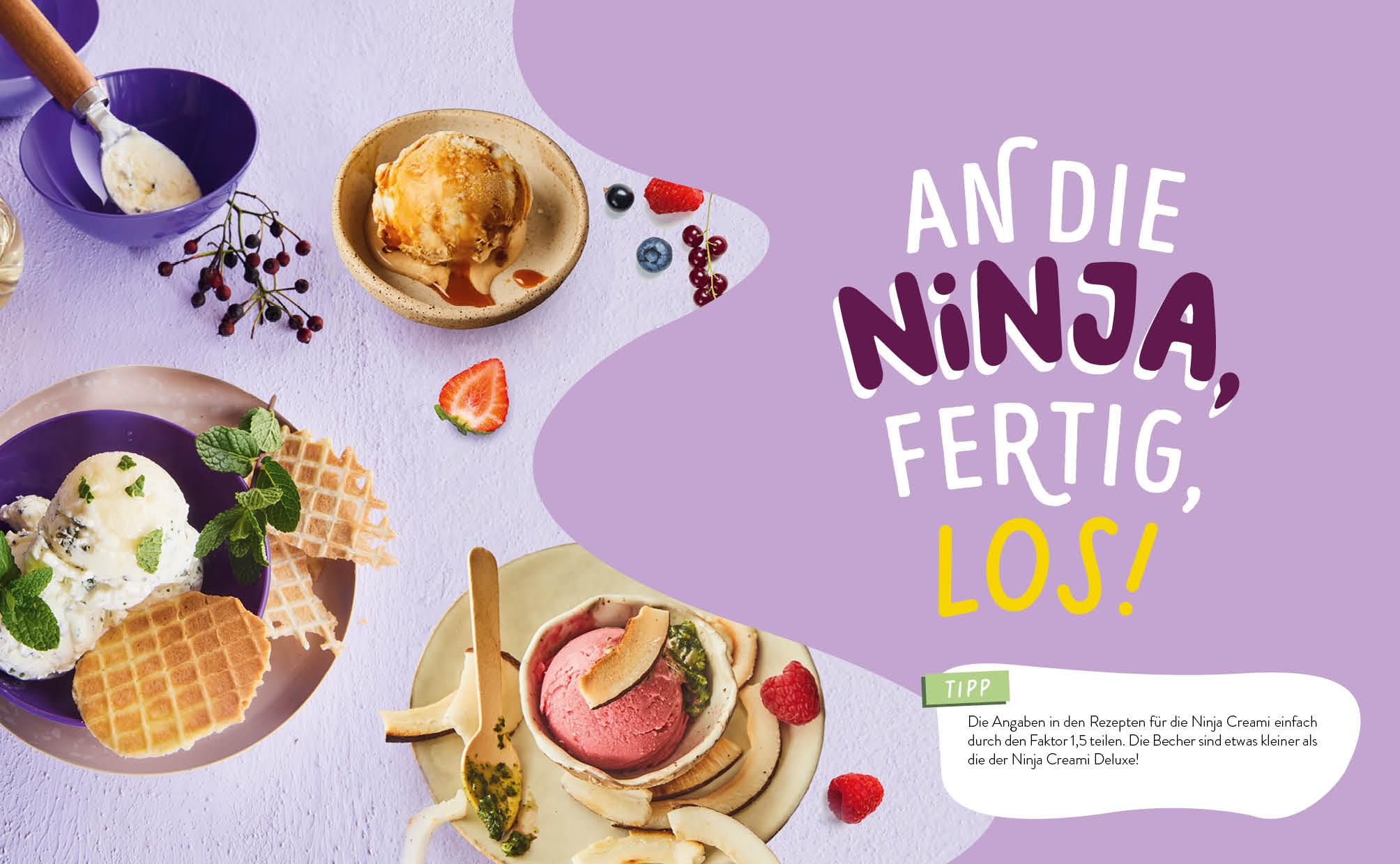 Beispielinhalt (Bild) Make it Creami | Ultimative Eis-Rezepte für die Ninja-Eismaschine