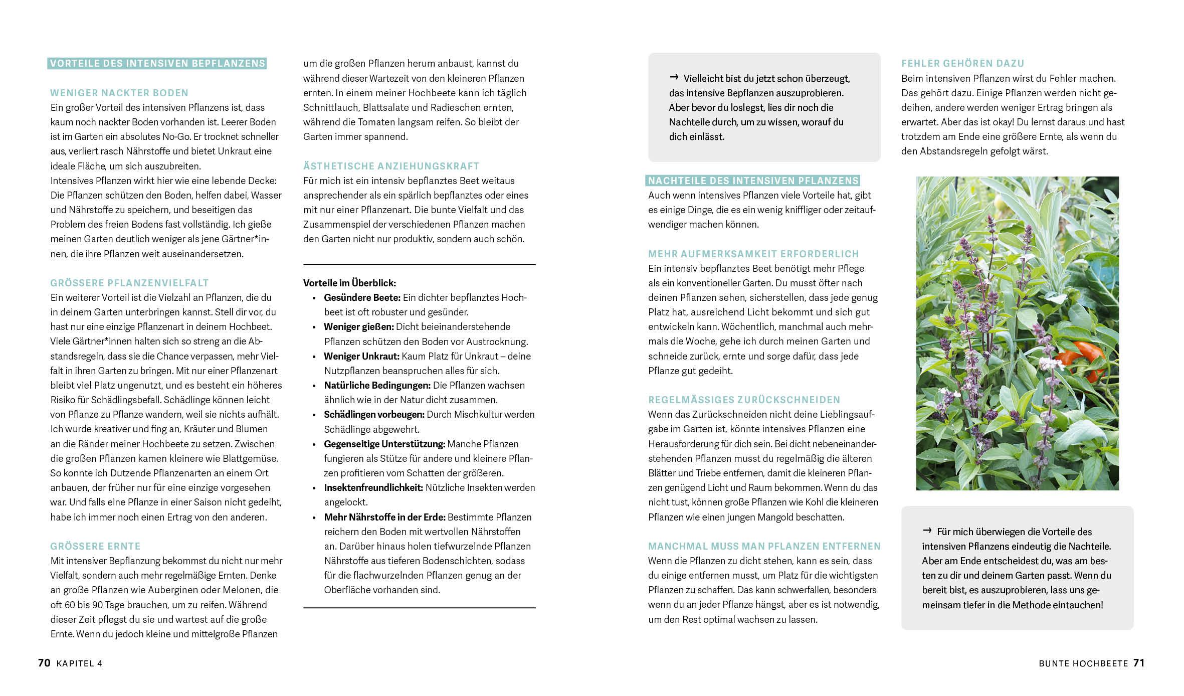 Beispielinhalt (Bild) Bunte Beete - Einfach gärtnern mit intensiver Bepflanzung in Hochbeet und Freiland