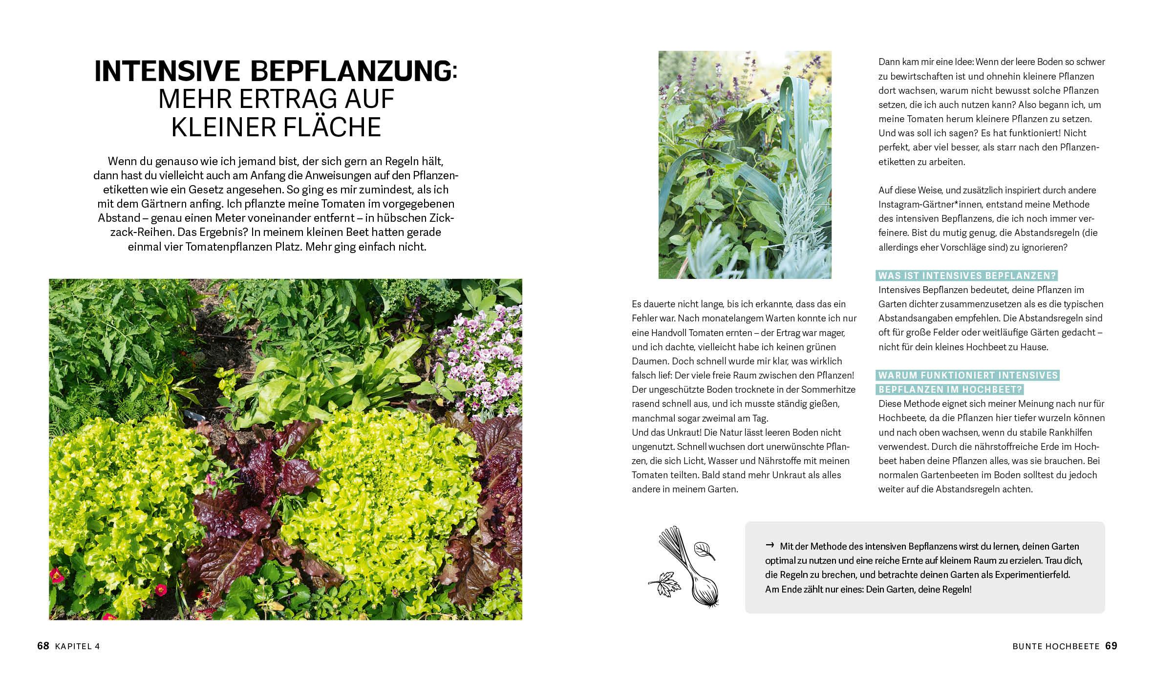 Beispielinhalt (Bild) Bunte Beete - Einfach gärtnern mit intensiver Bepflanzung in Hochbeet und Freiland