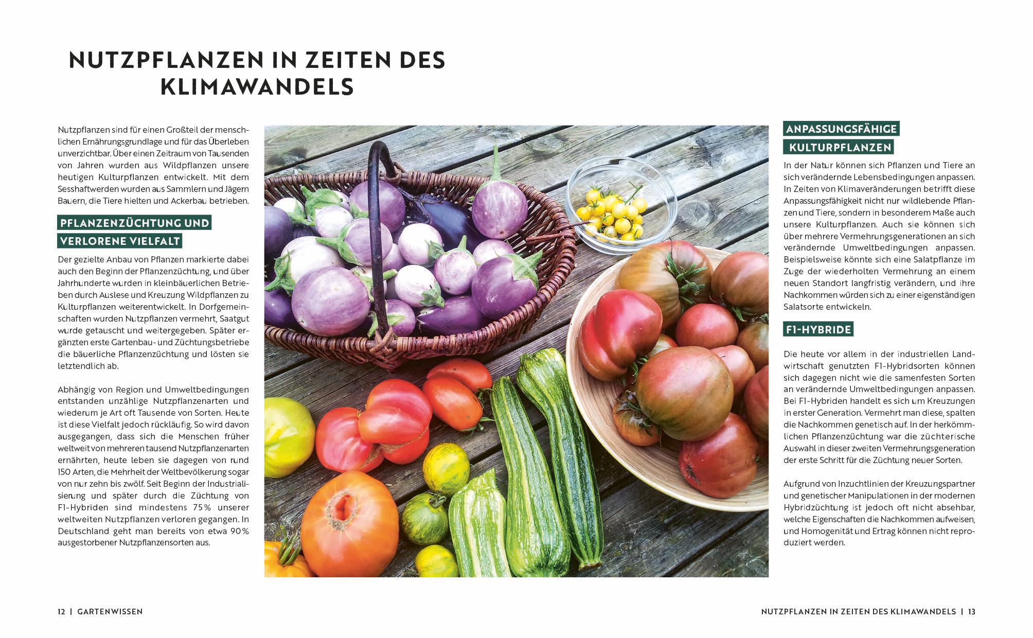 Beispielinhalt (Bild) Gartenmomente: Naturnaher Garten