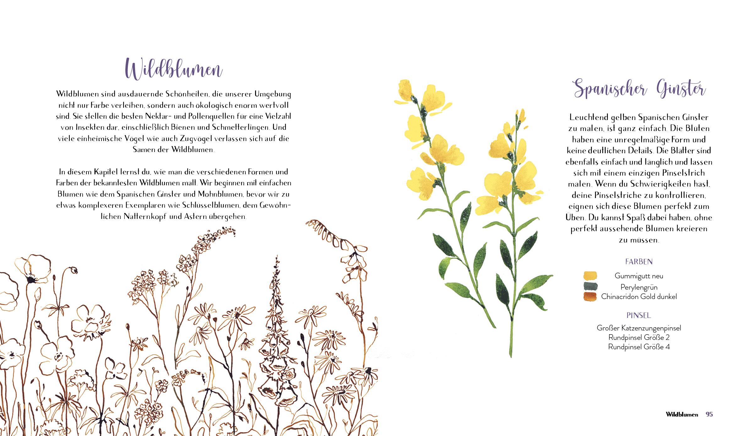 Beispielinhalt (Bild) Wildflower Watercolor - Blumen-Aquarelle malen