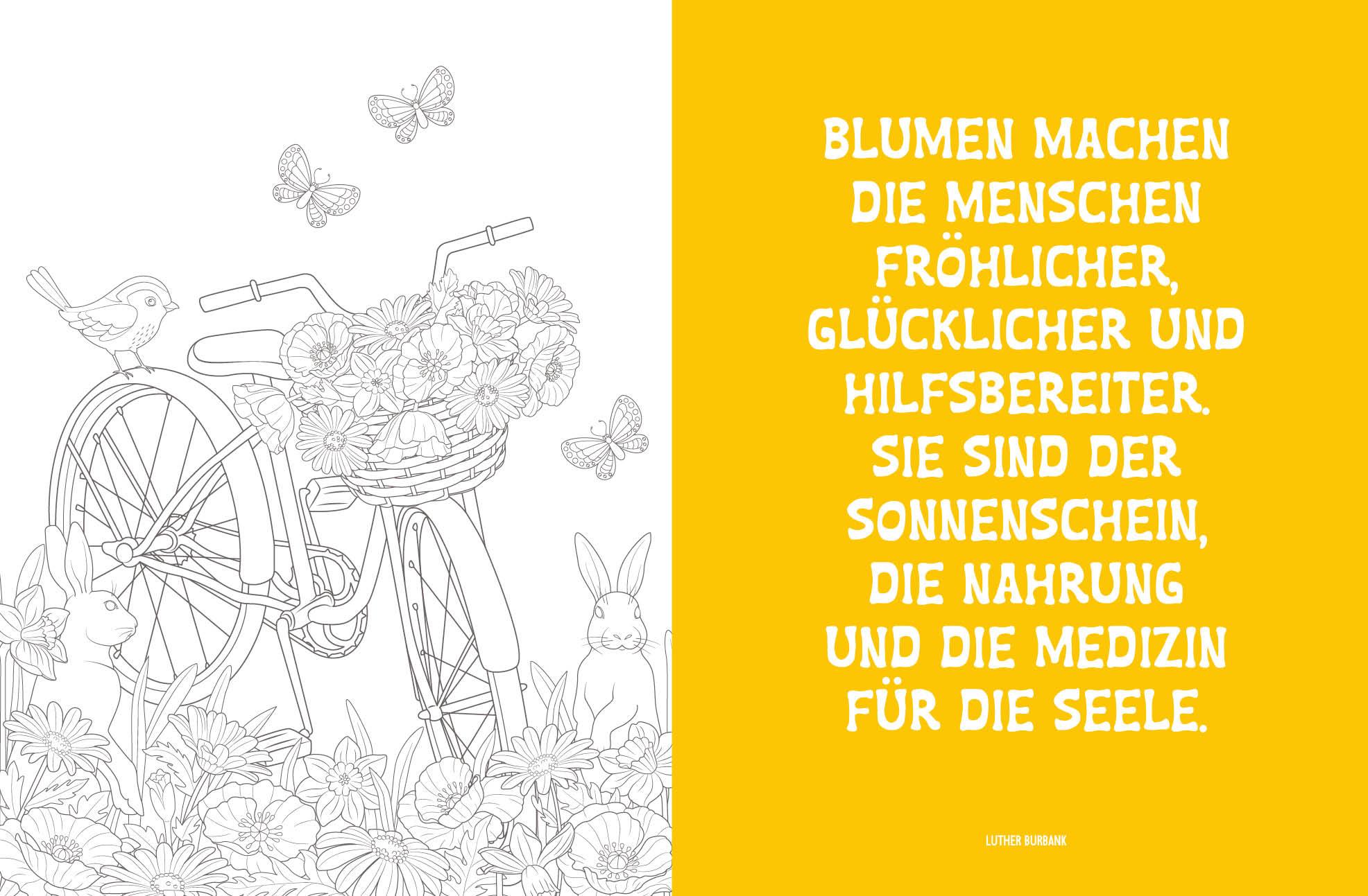 Beispielinhalt (Bild) Colorful Mandala - Blüten und Schmetterlinge