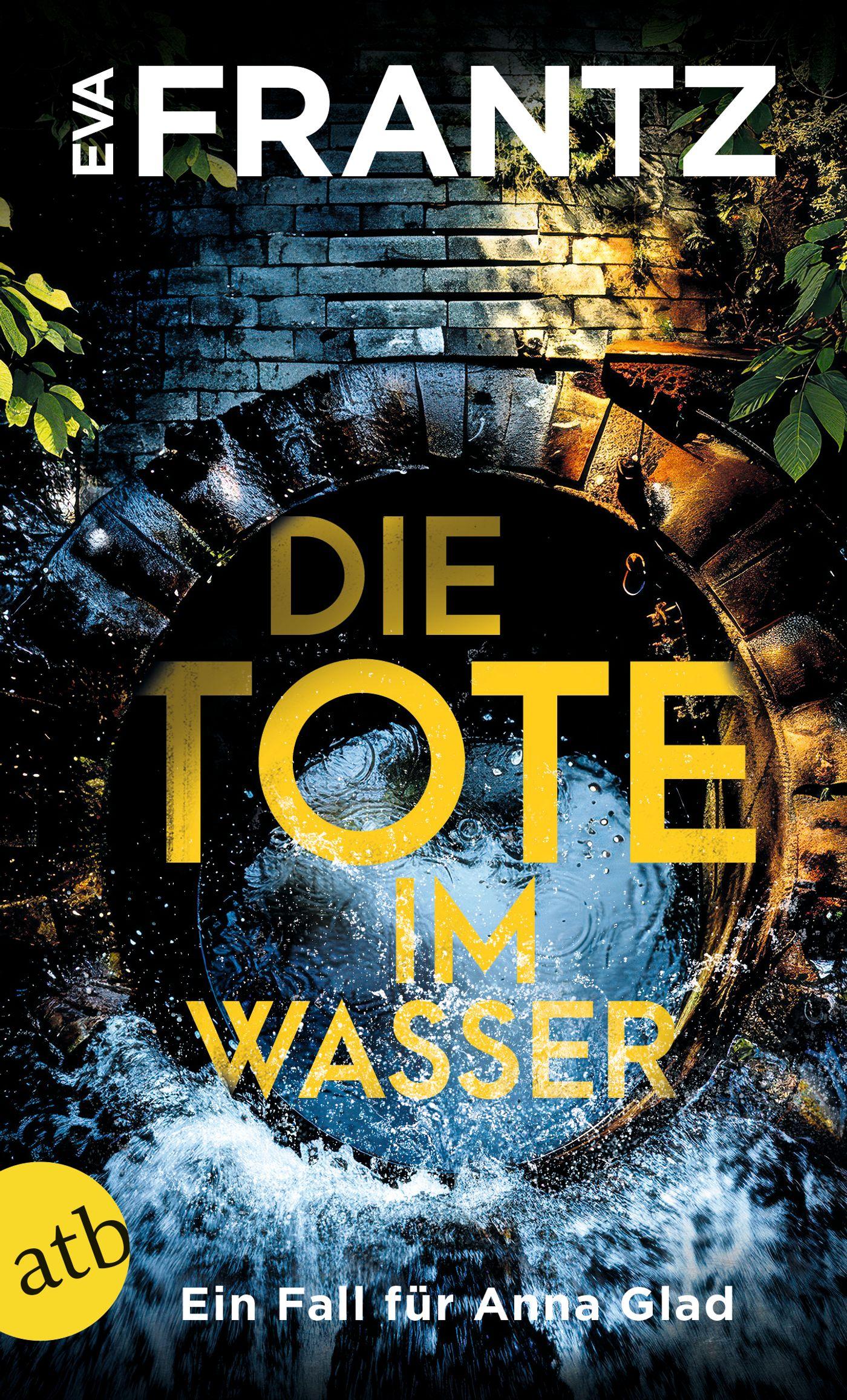 Vorderes Coverbild Die Tote im Wasser