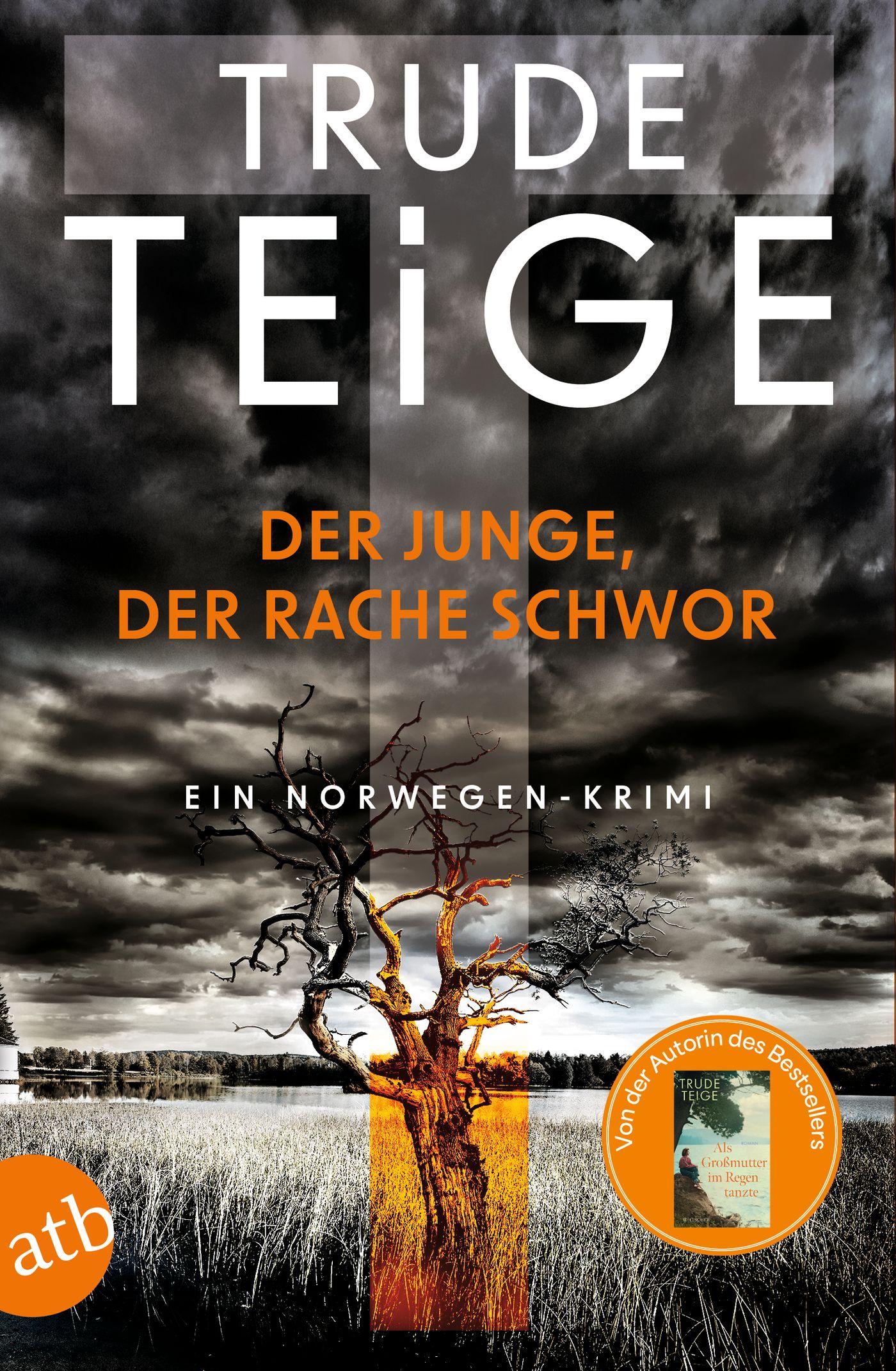 Vorderes Coverbild Der Junge, der Rache schwor