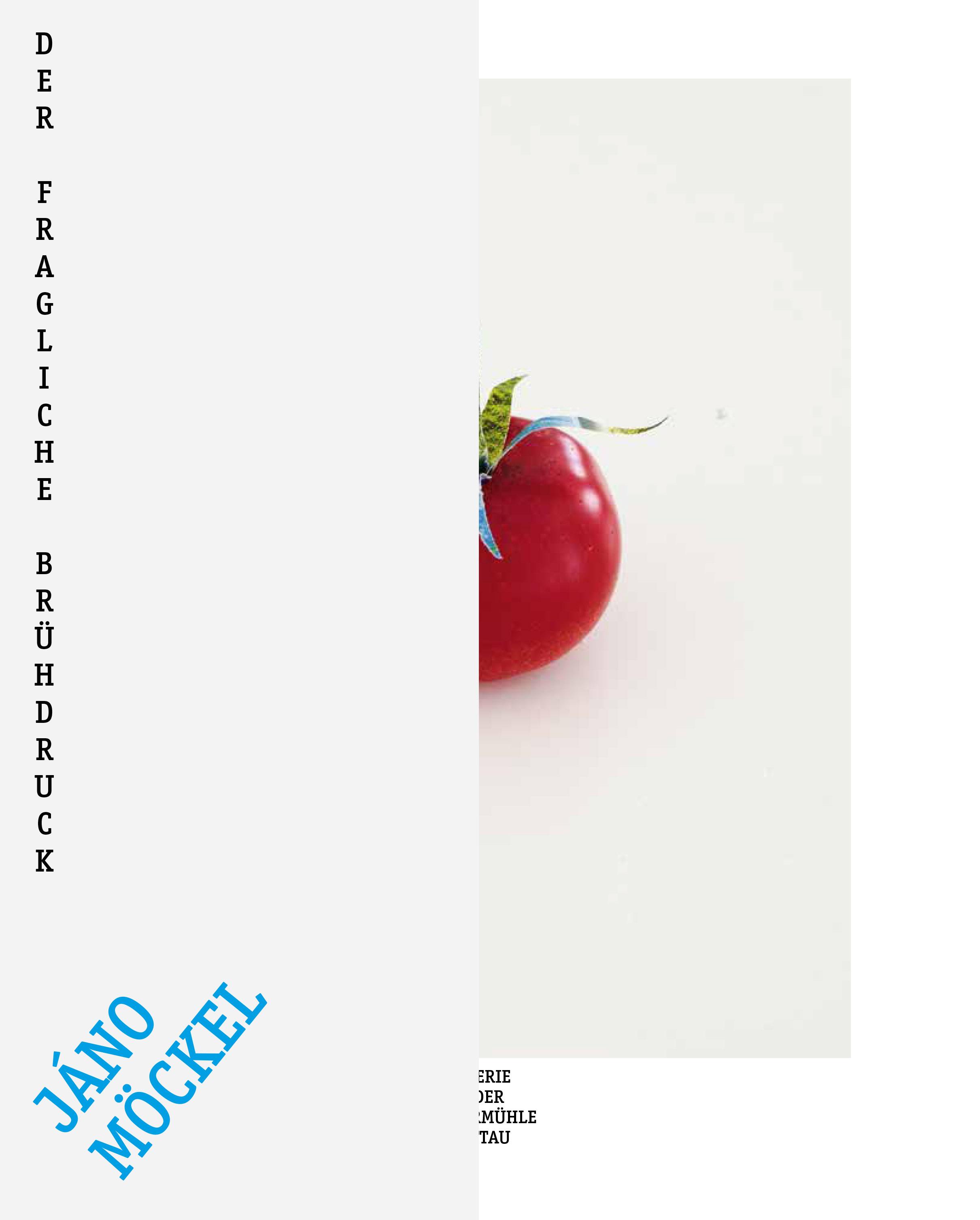 Vorderes Coverbild Der fragliche Brühdruck