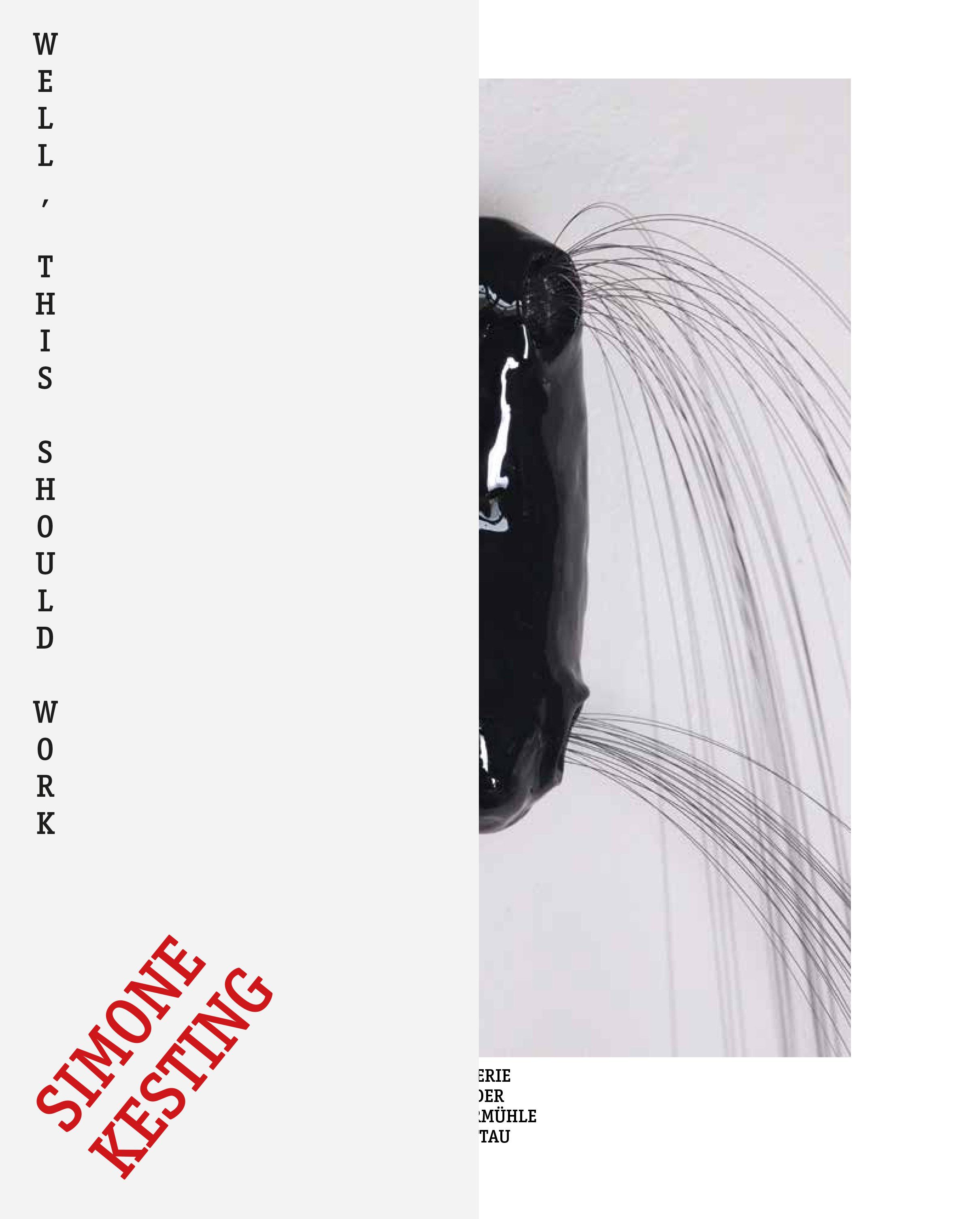 Vorderes Coverbild Well, this should work