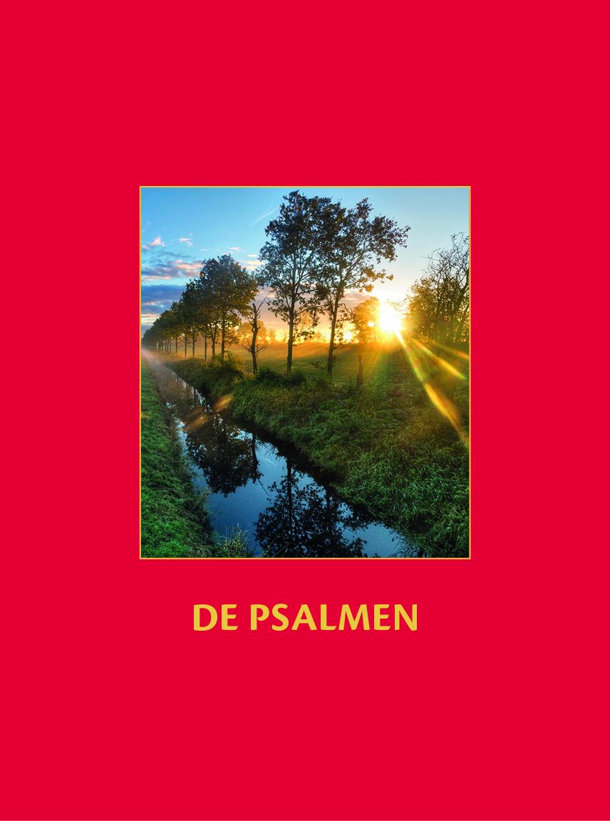 Vorderes Coverbild De Psalmen